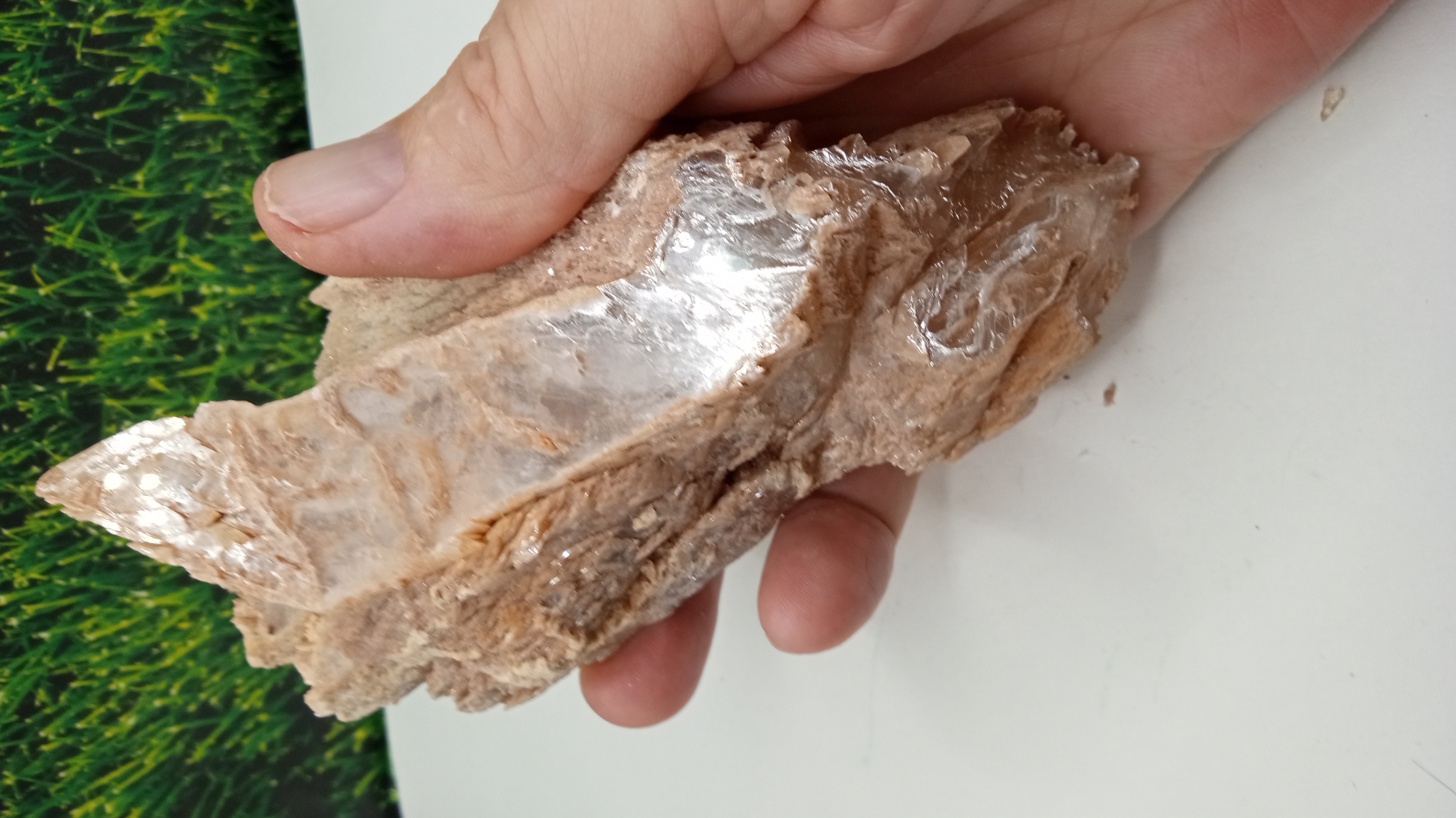 Muscovite / Selenite Mineral Specimen ~ New Mexico