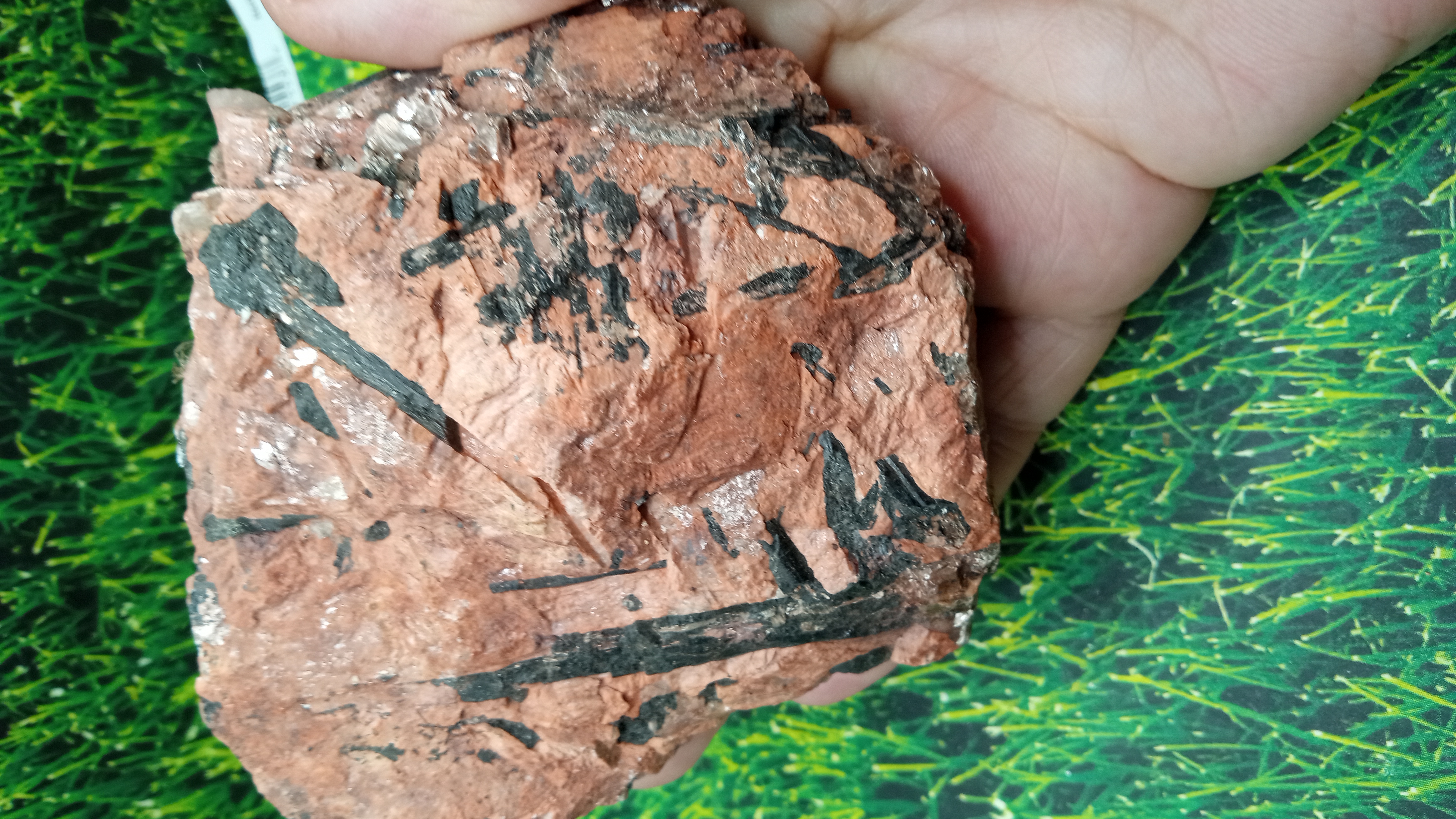 Tourmaline Mica Quartz NEW MEXICO -