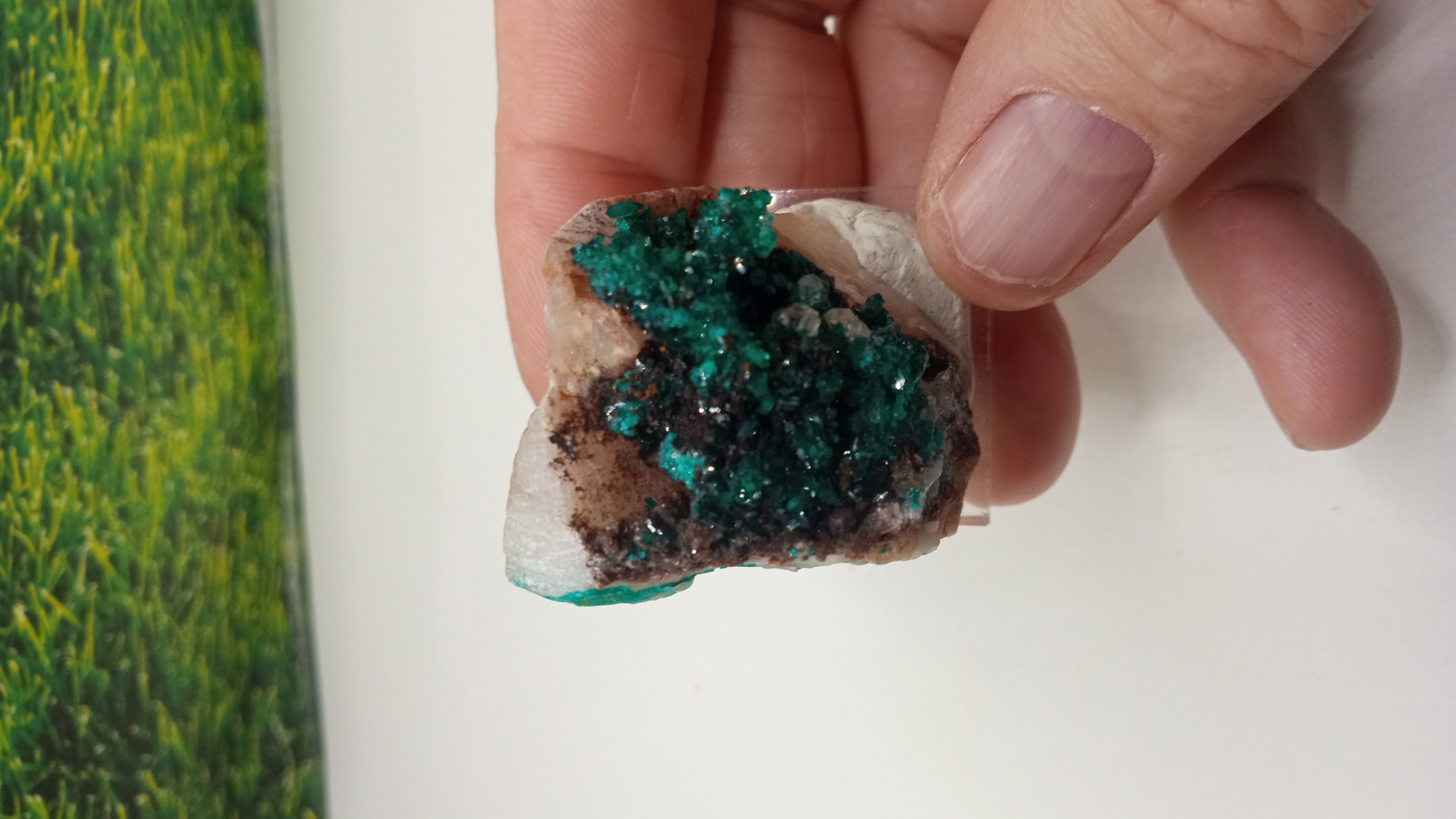 Dioptase - Namibia The Tsumeb Mine on Acrylic Stand