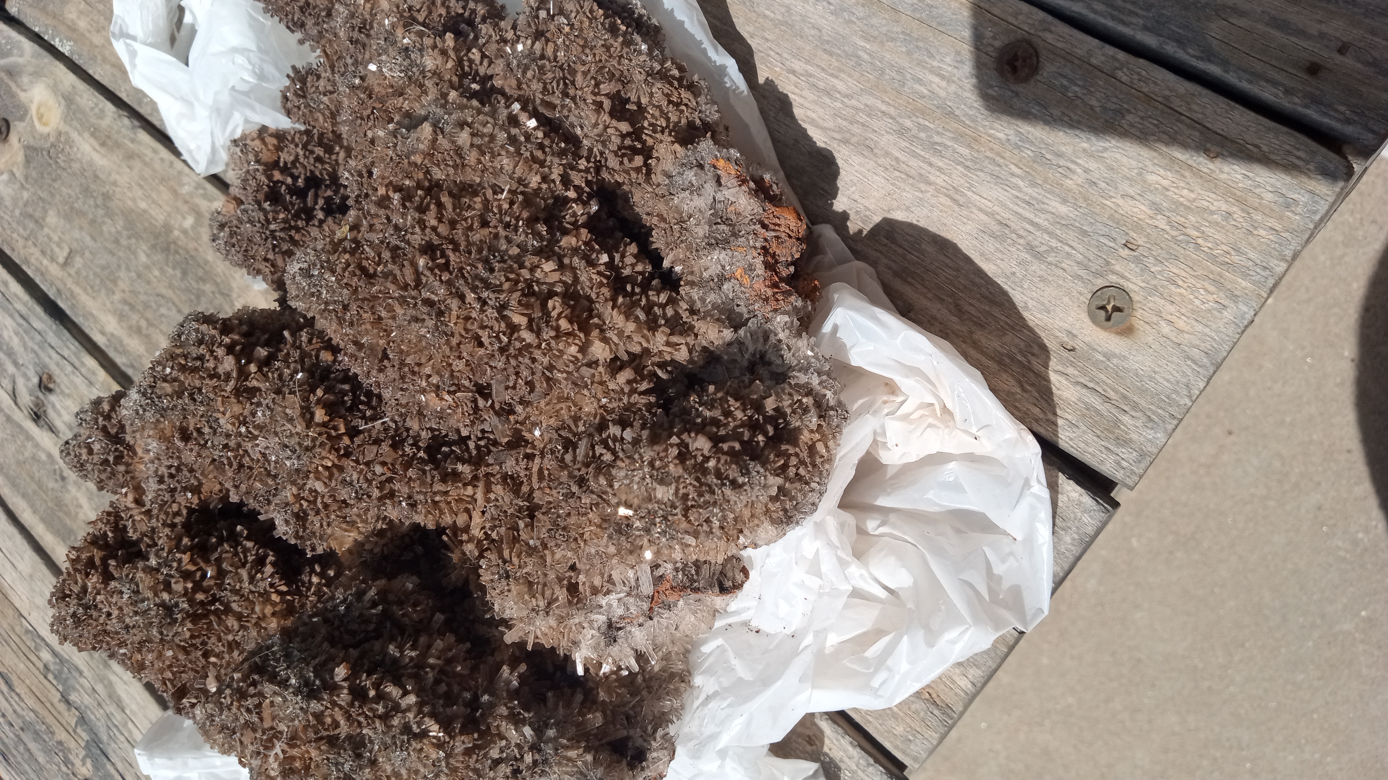 Creedite Stunning Giant Orange & Rust Colors  ~ Rare ~ Mexico ~