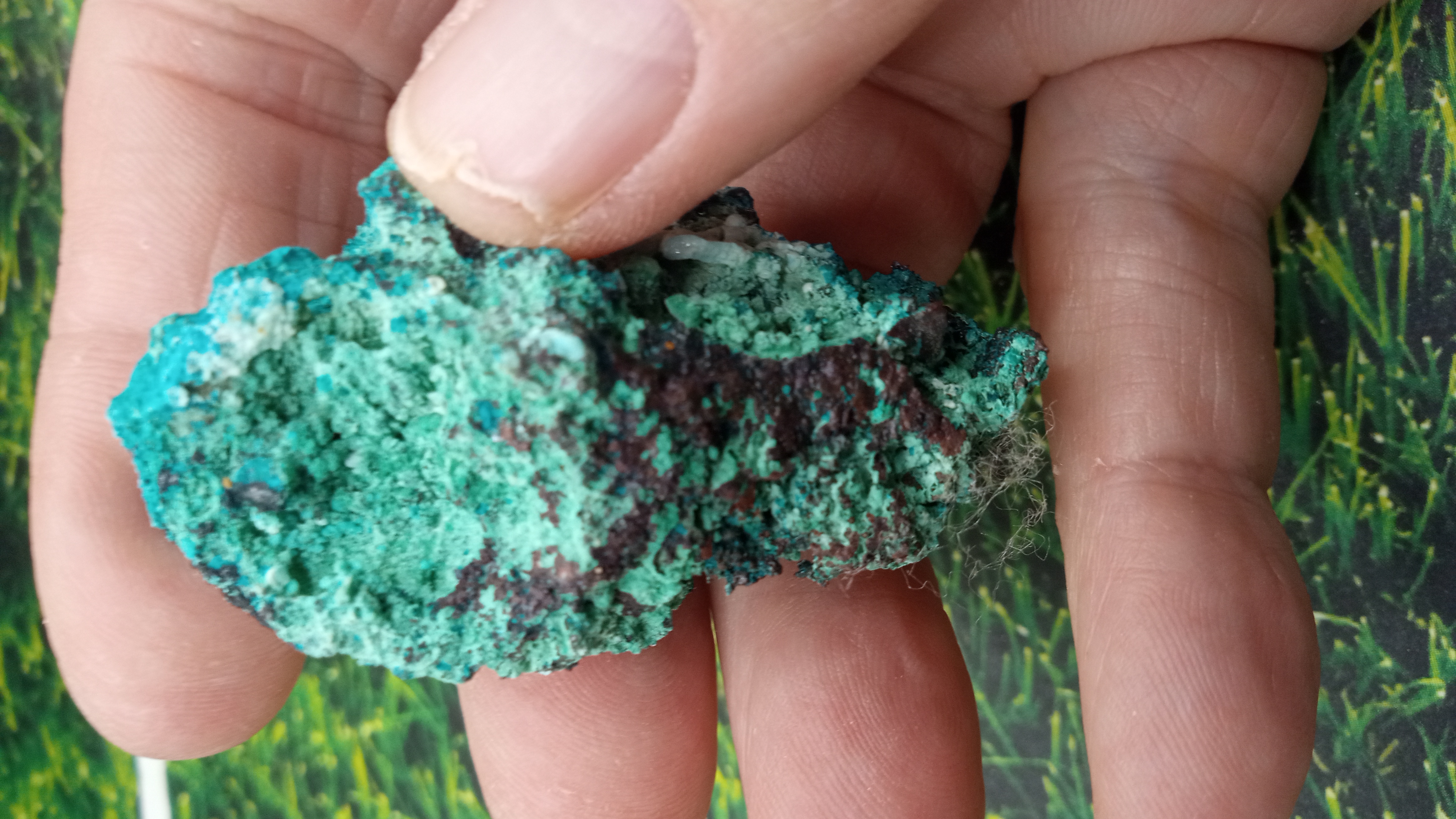 Chrysocolla Mineral Specimen - Orogrande, NM