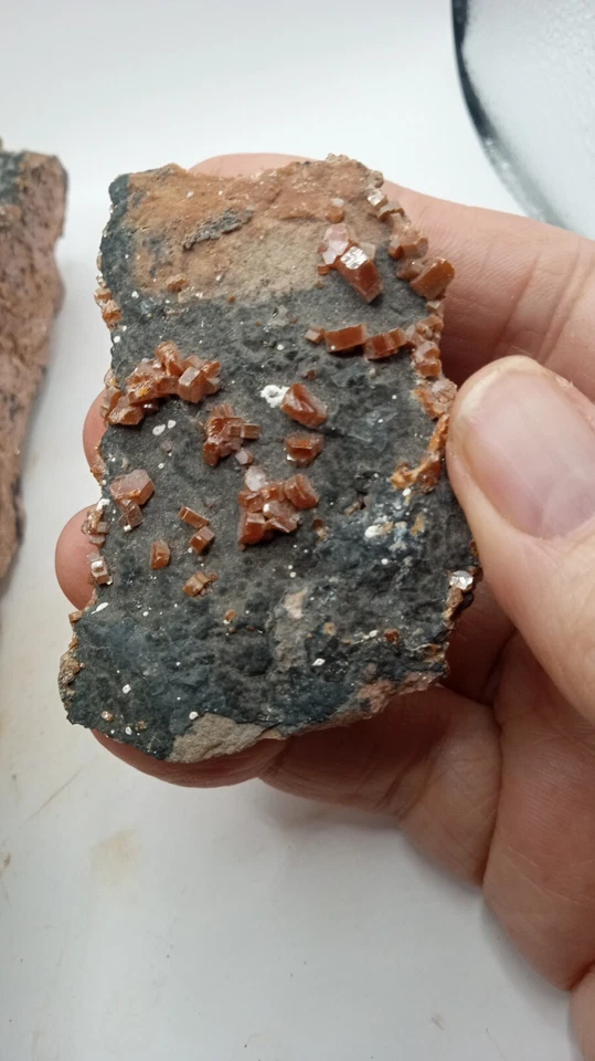 Wulfenite w/ Tiny Quartz Crystals - Rare