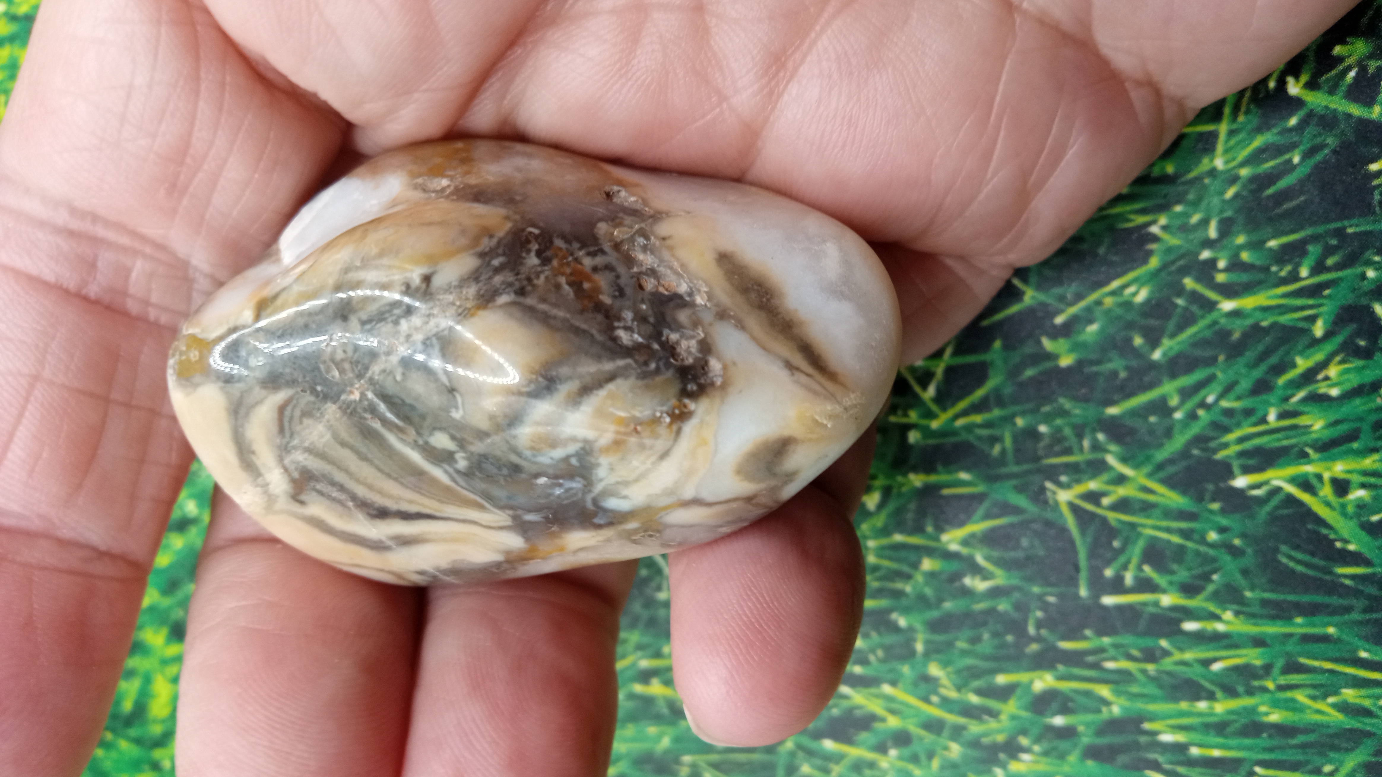 Jasper & Breccoated Jasper - ( 2 ) Pieces -