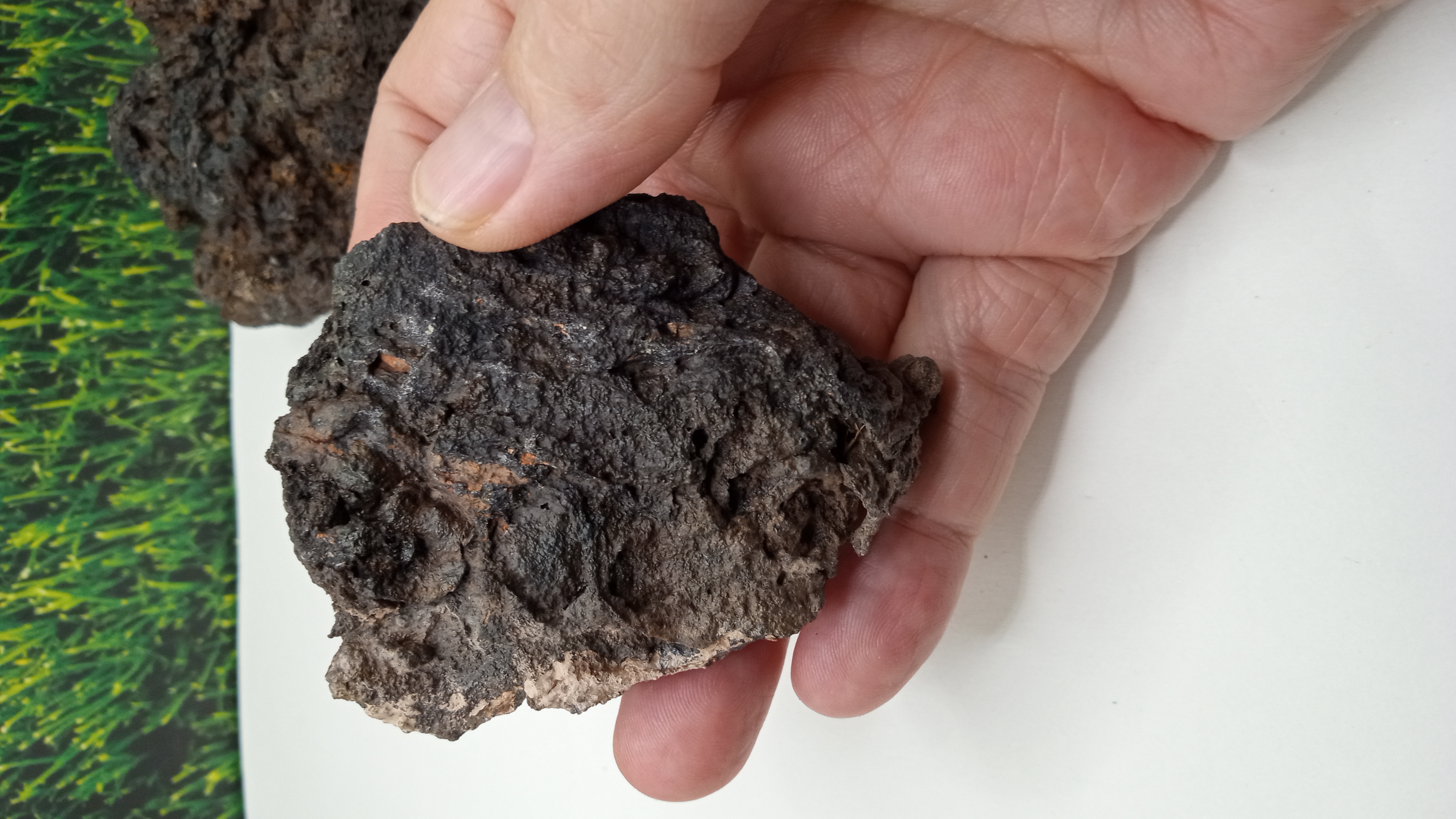 Volcanic Lava from Valley of Fire inside Fissure ~ Rare ~ ( 2 ) Included ~