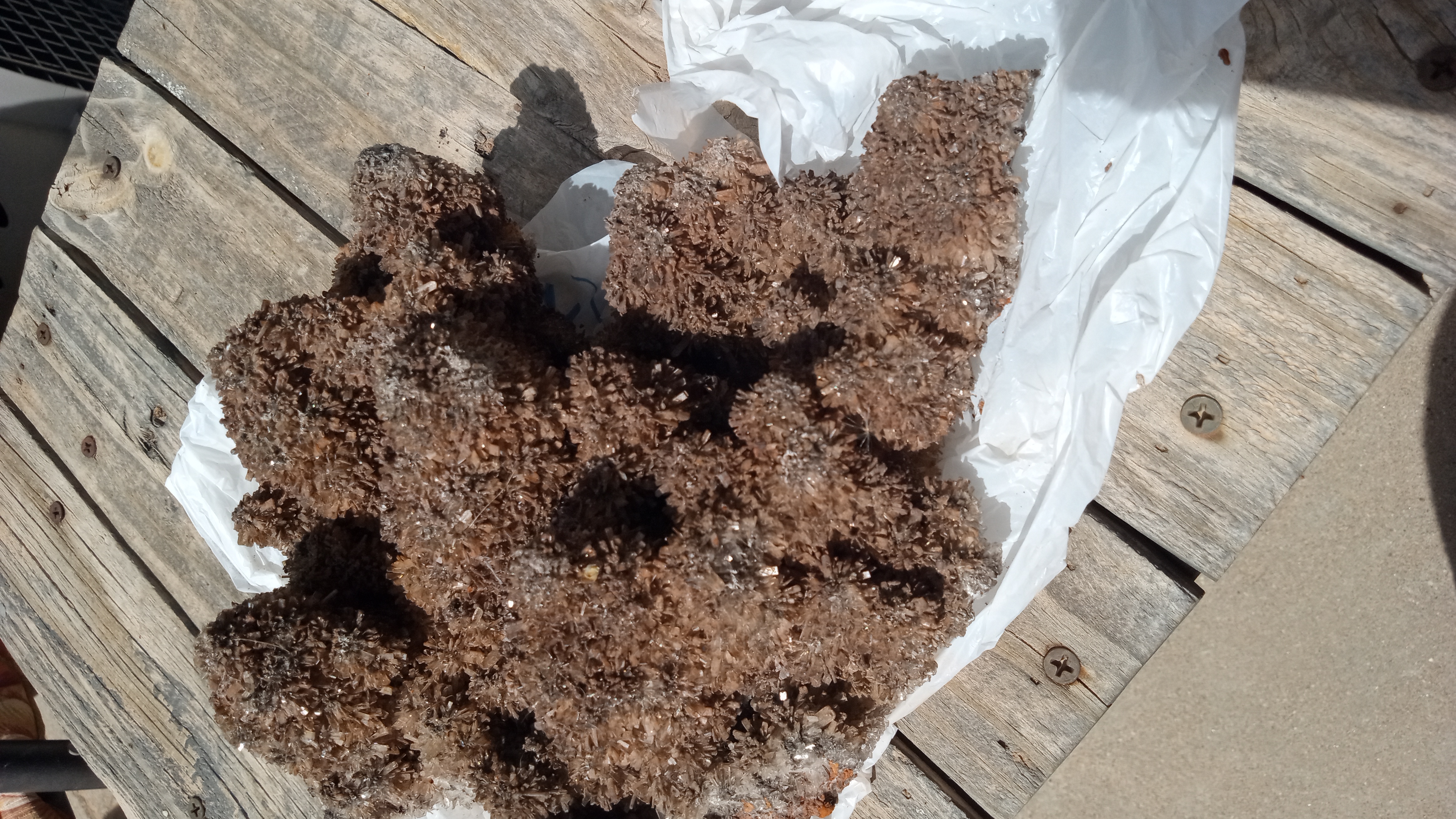 Creedite Stunning Giant Orange & Rust Colors  ~ Rare ~ Mexico ~