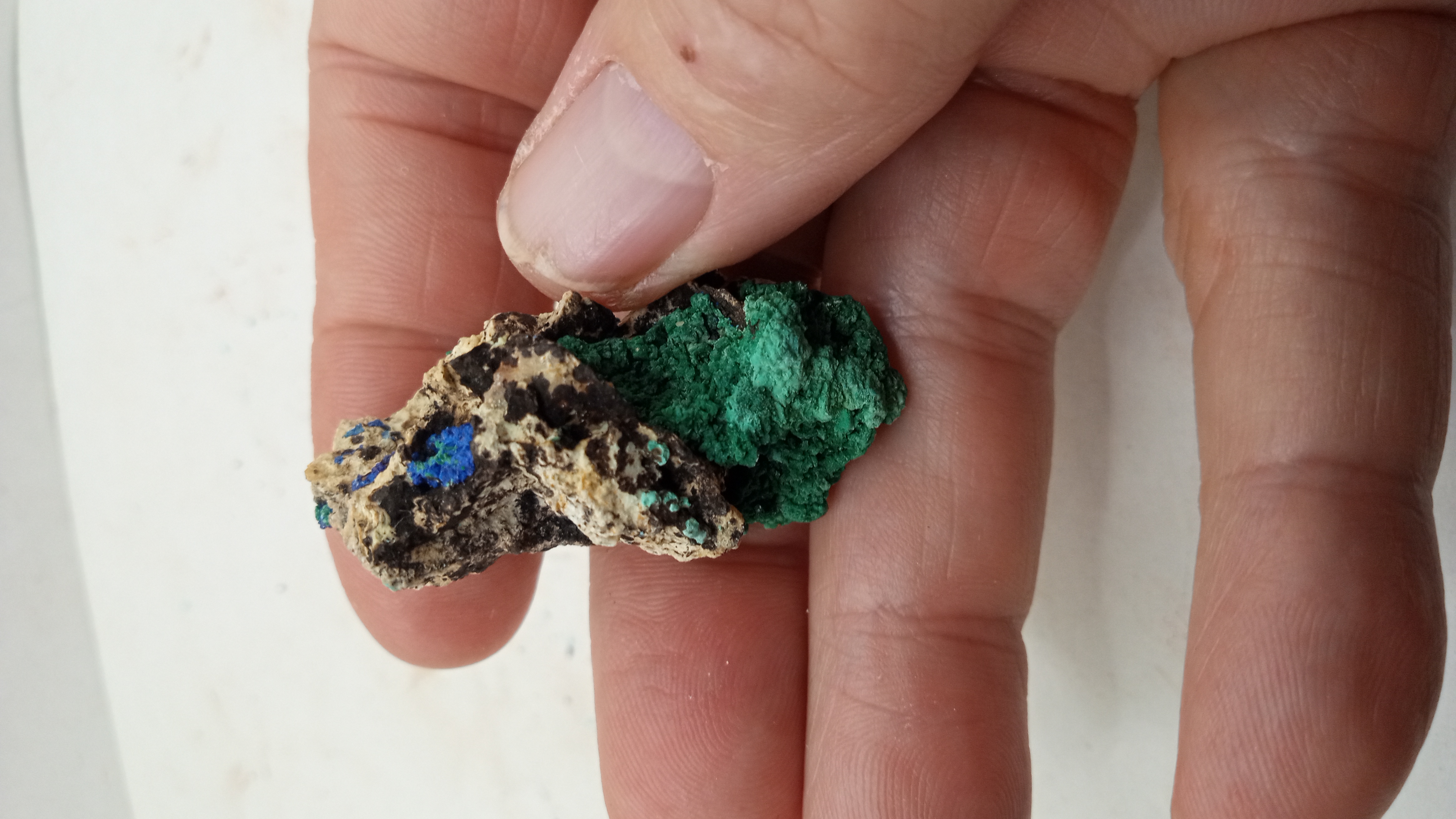 Aurichalcite / Rosasite Beauties Mineral Specimens ( 2 )