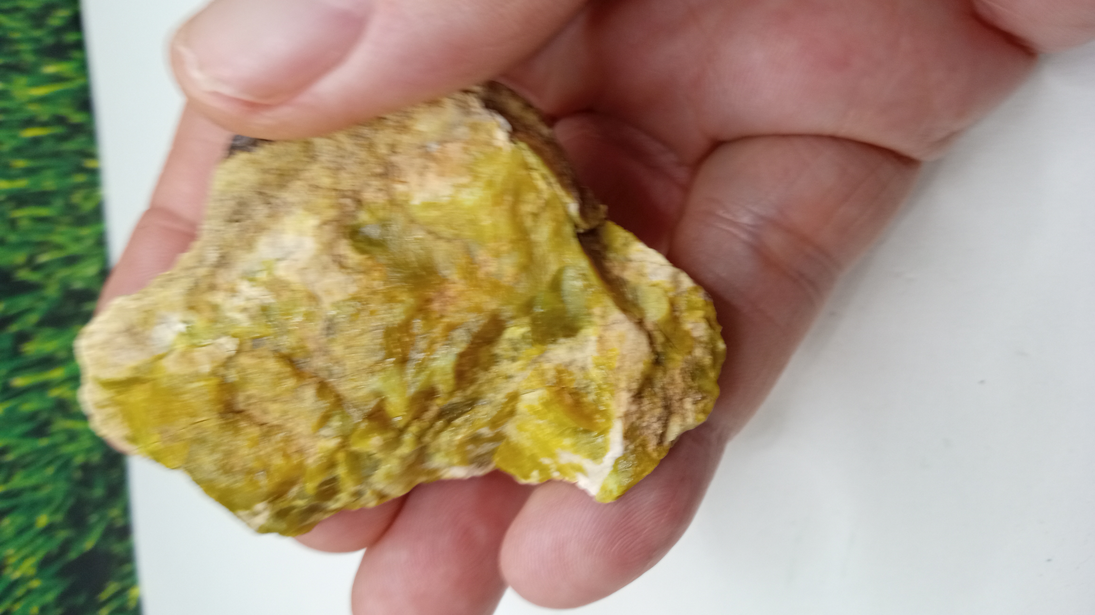 Olivine Jasper Mineral Specimen ~ Arizona ~ ( 2 ) Included ~