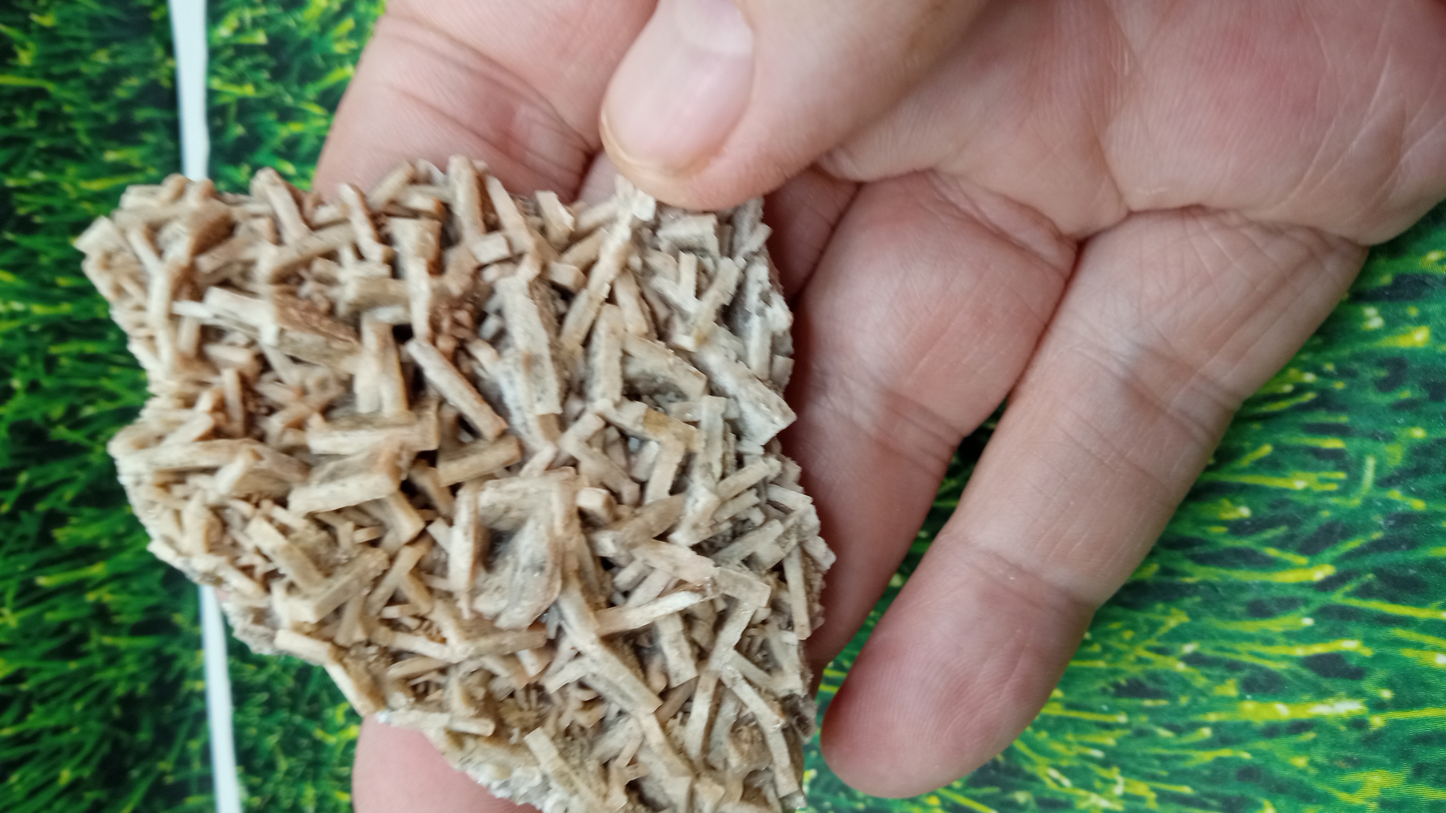 Amazing Barite Mineral w/ Blades - New Mexico -