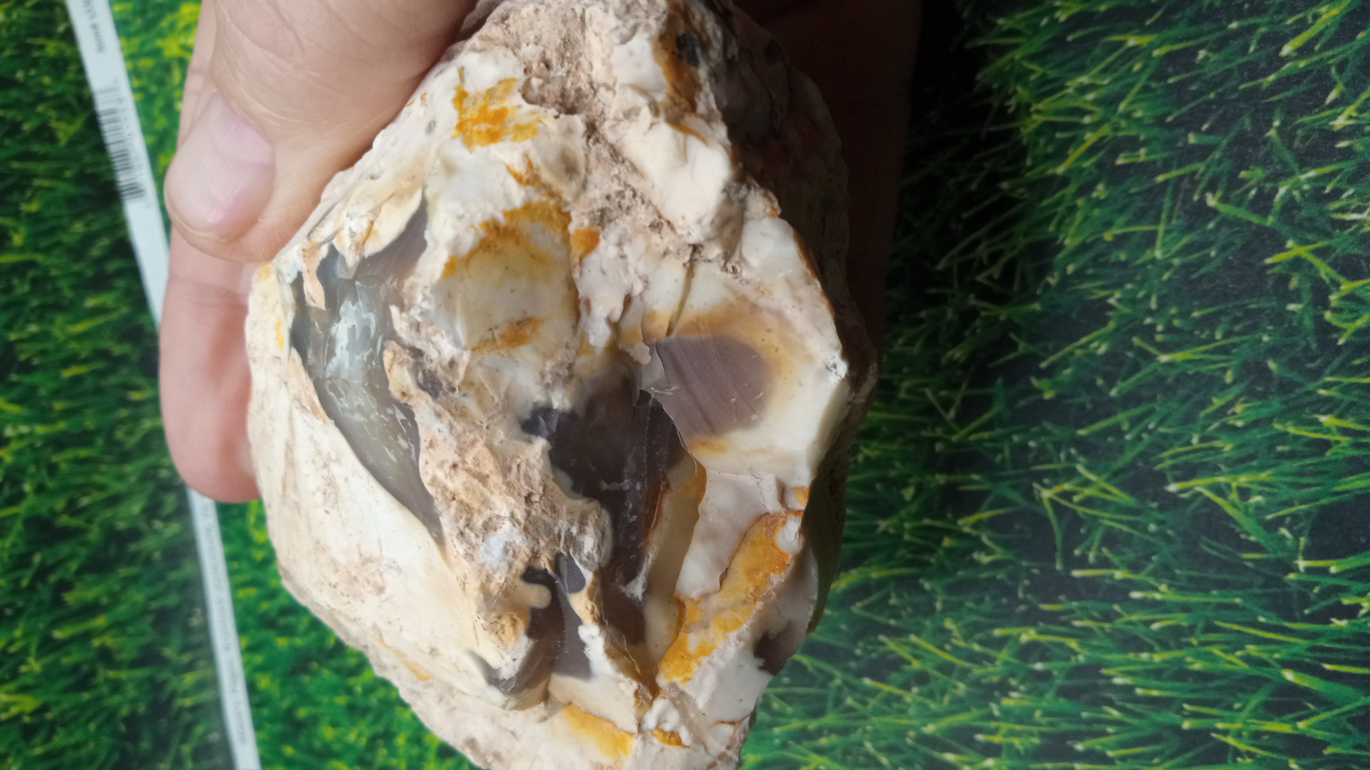 Agate In Natural Form - NEW MEXICO -