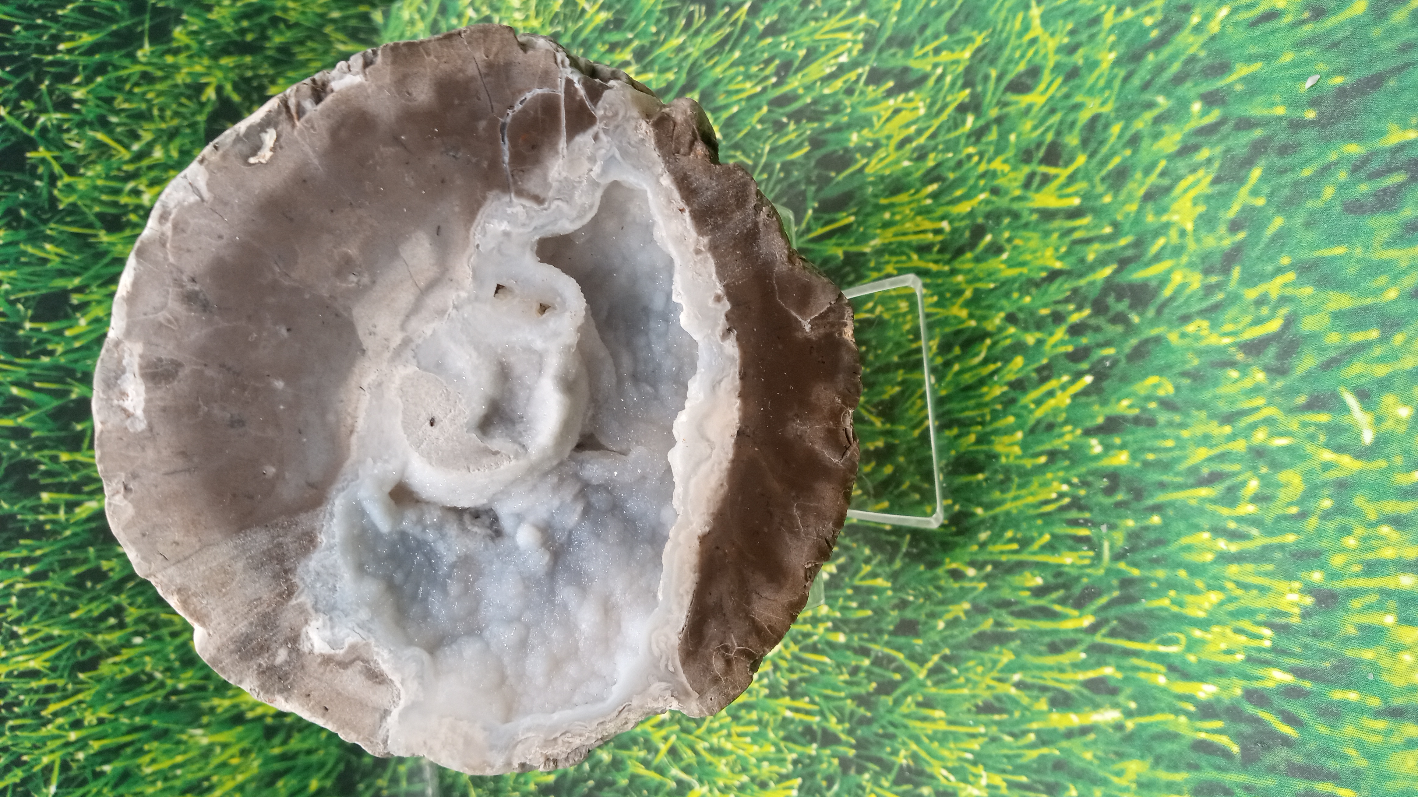 Beautiful Thunder Egg - Rockhound Park Area -  New Mexico ~ Stand Included ~
