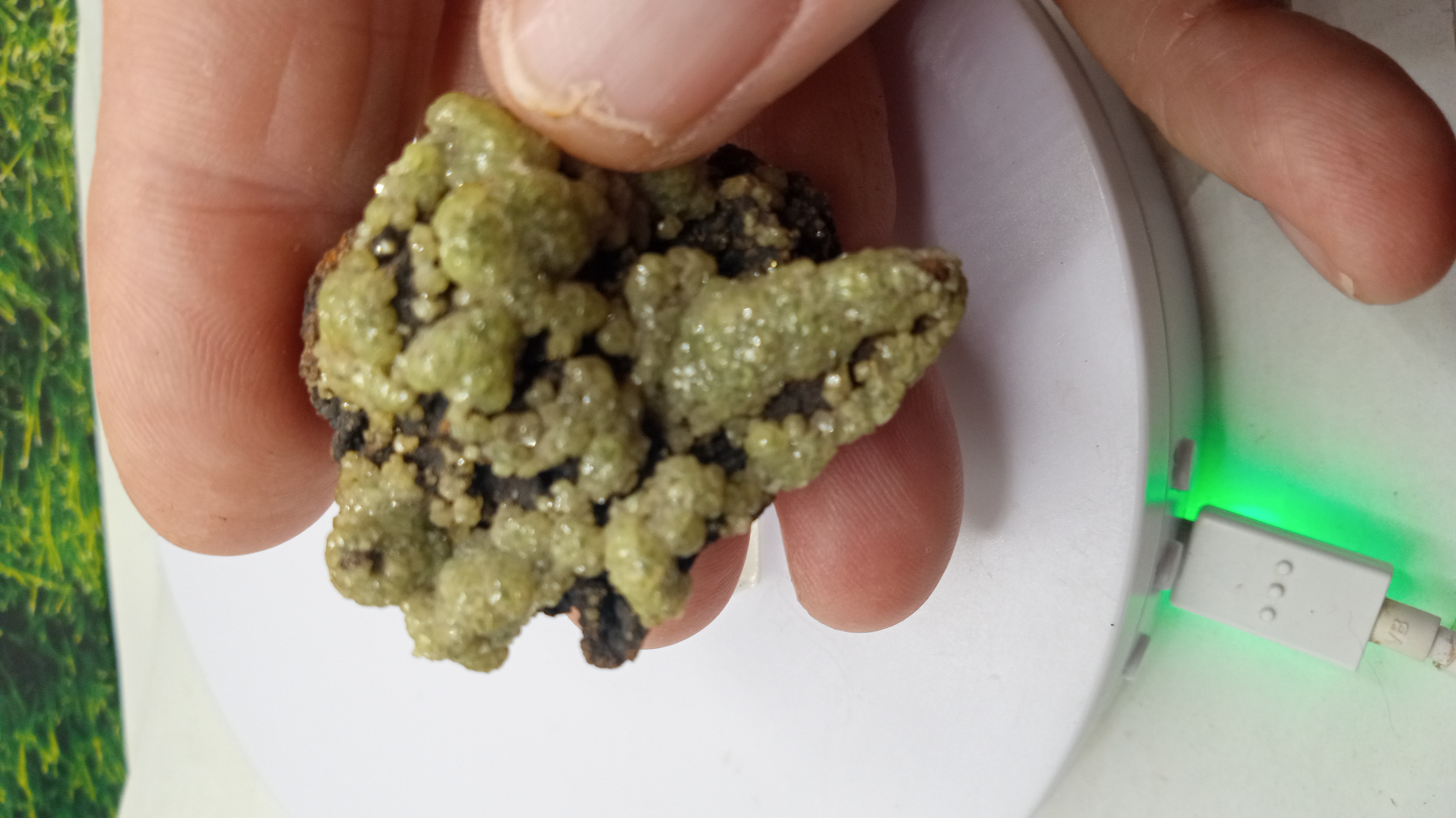 Adamite Specimen Ojuela Mine in Mapimí, Durango, Mexico