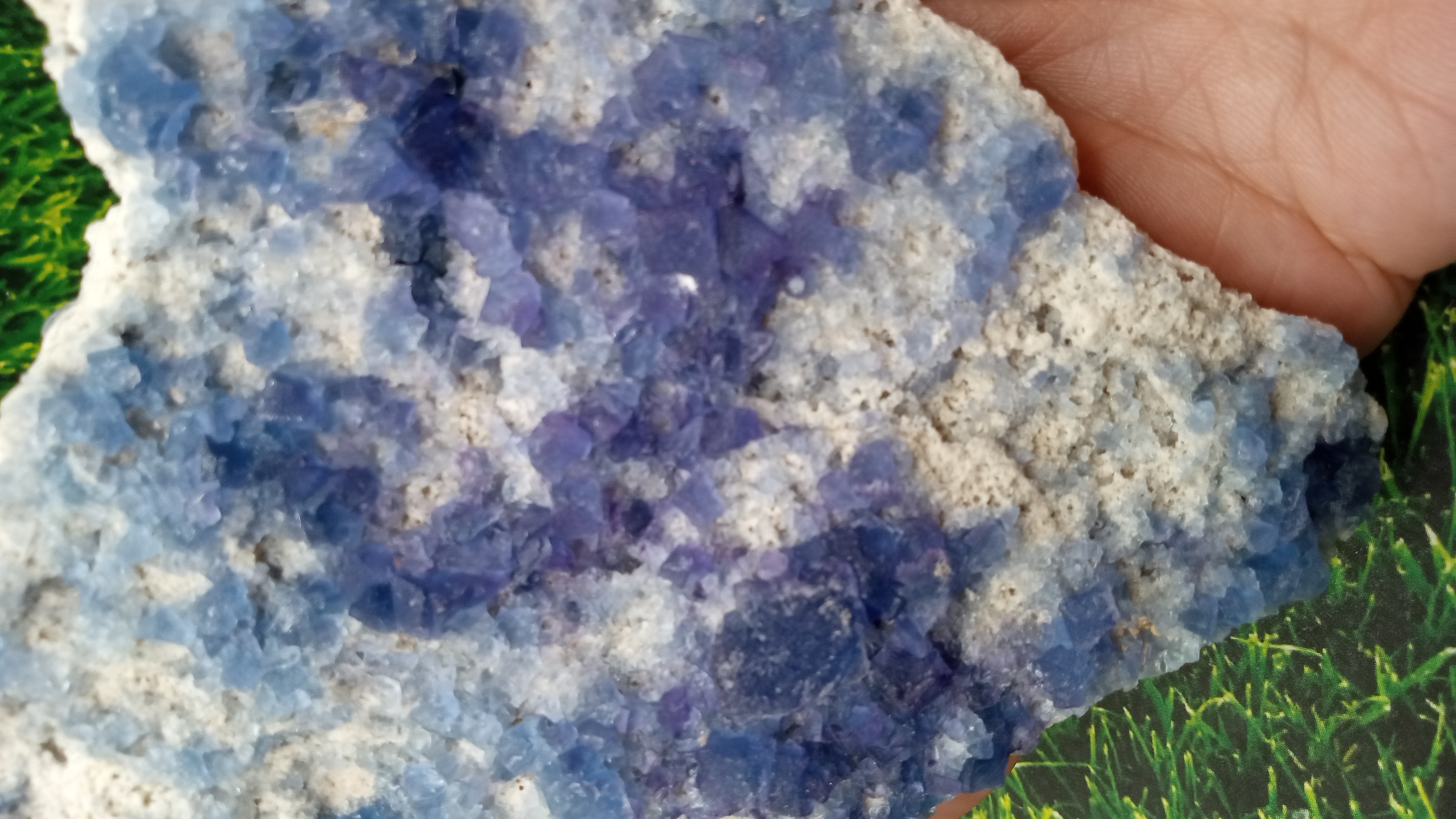 Stilbite / Fluorite Beautiful Mineral Specimen ~ Mexico ~