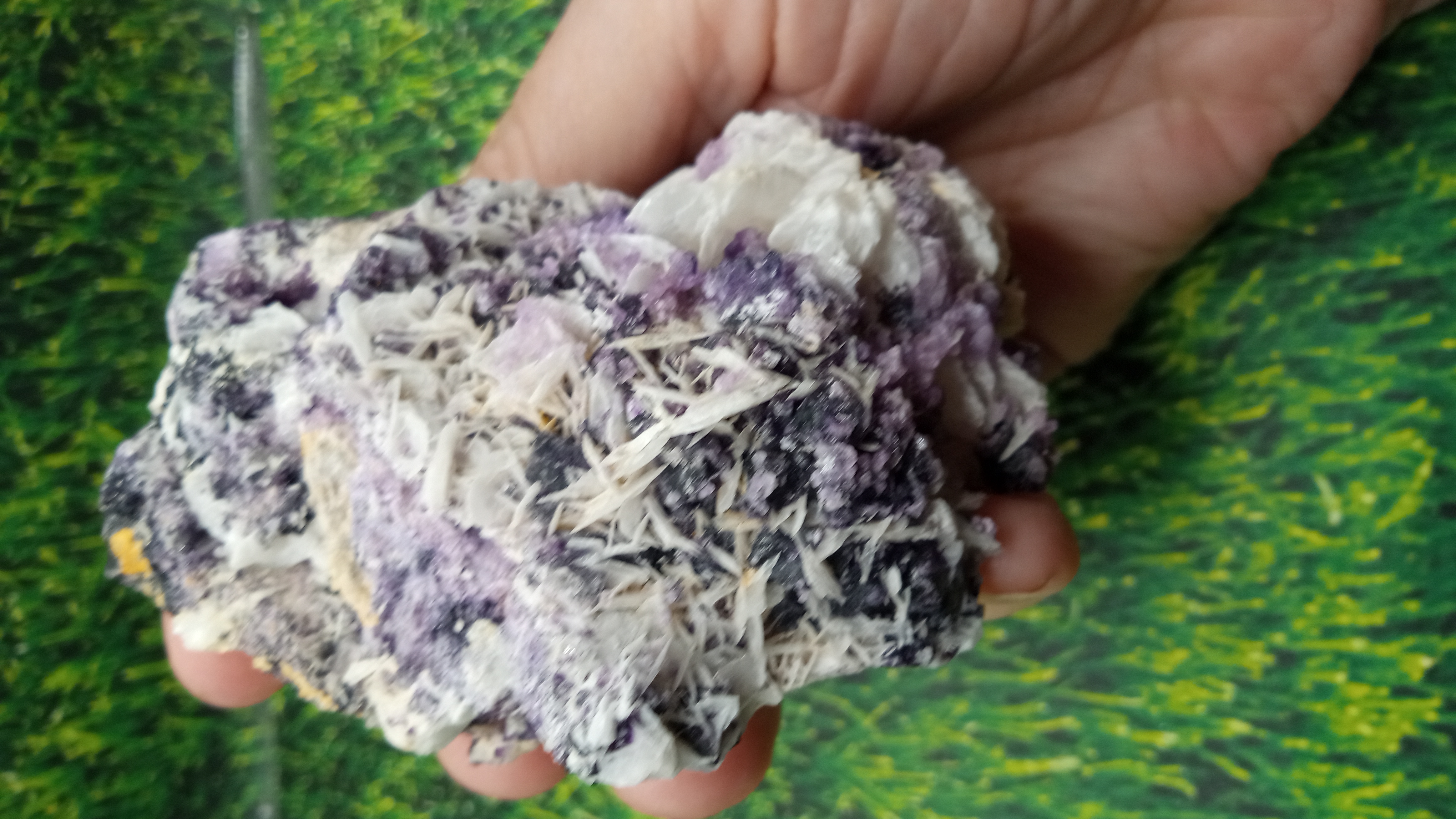 Barite w/ Fluorite & Blades ~ Mineral Specimen -   Socorro County New Mexico 