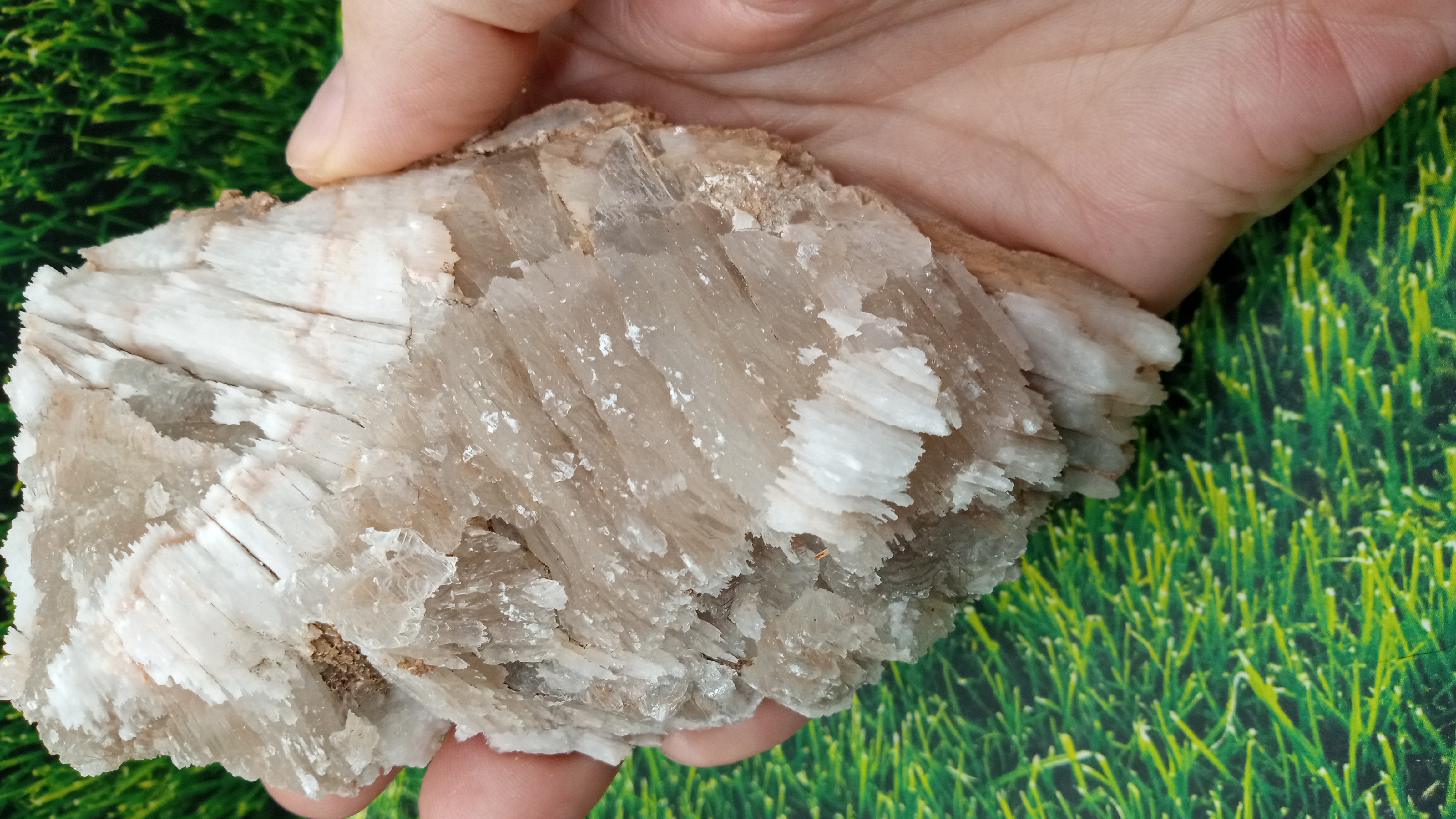 Bladed Calcite Mineral Specimen - Unique ~ New Mexico ~