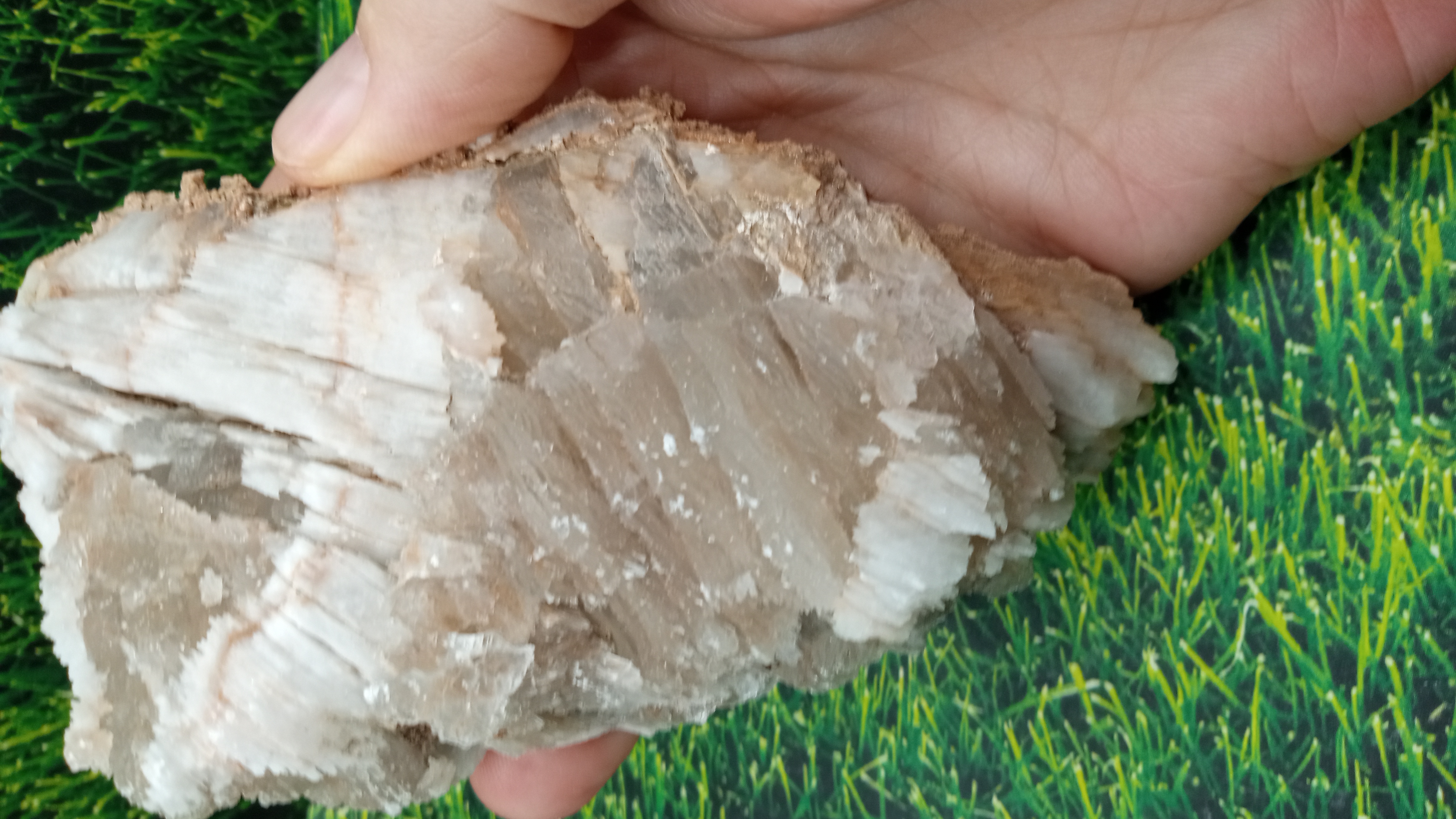 Bladed Calcite Mineral Specimen - Unique ~ New Mexico ~