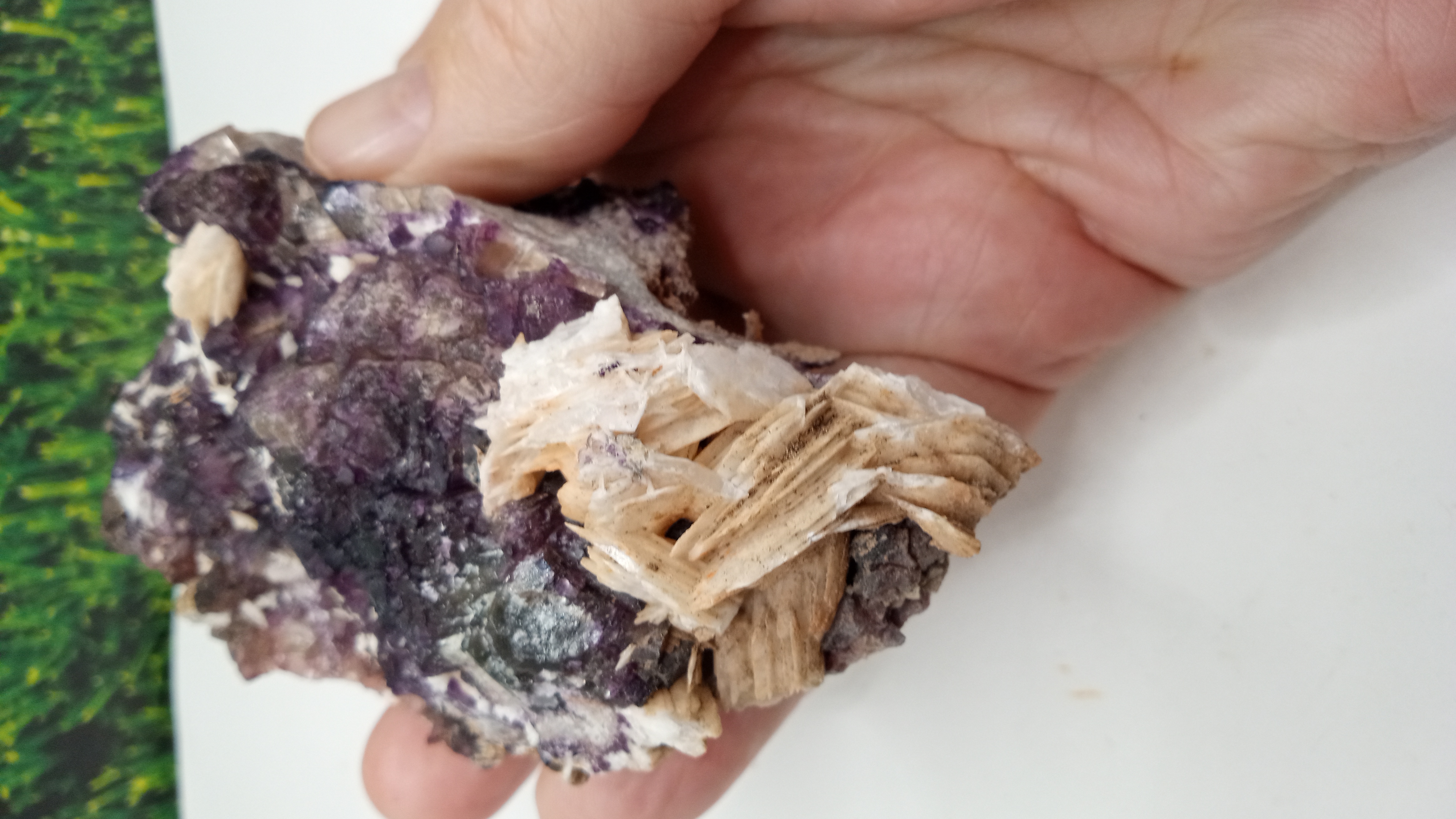 STUNNING BARITE WITH PURPLE FLUORITE MINERAL SPECIMEN ~ New Mexico ~