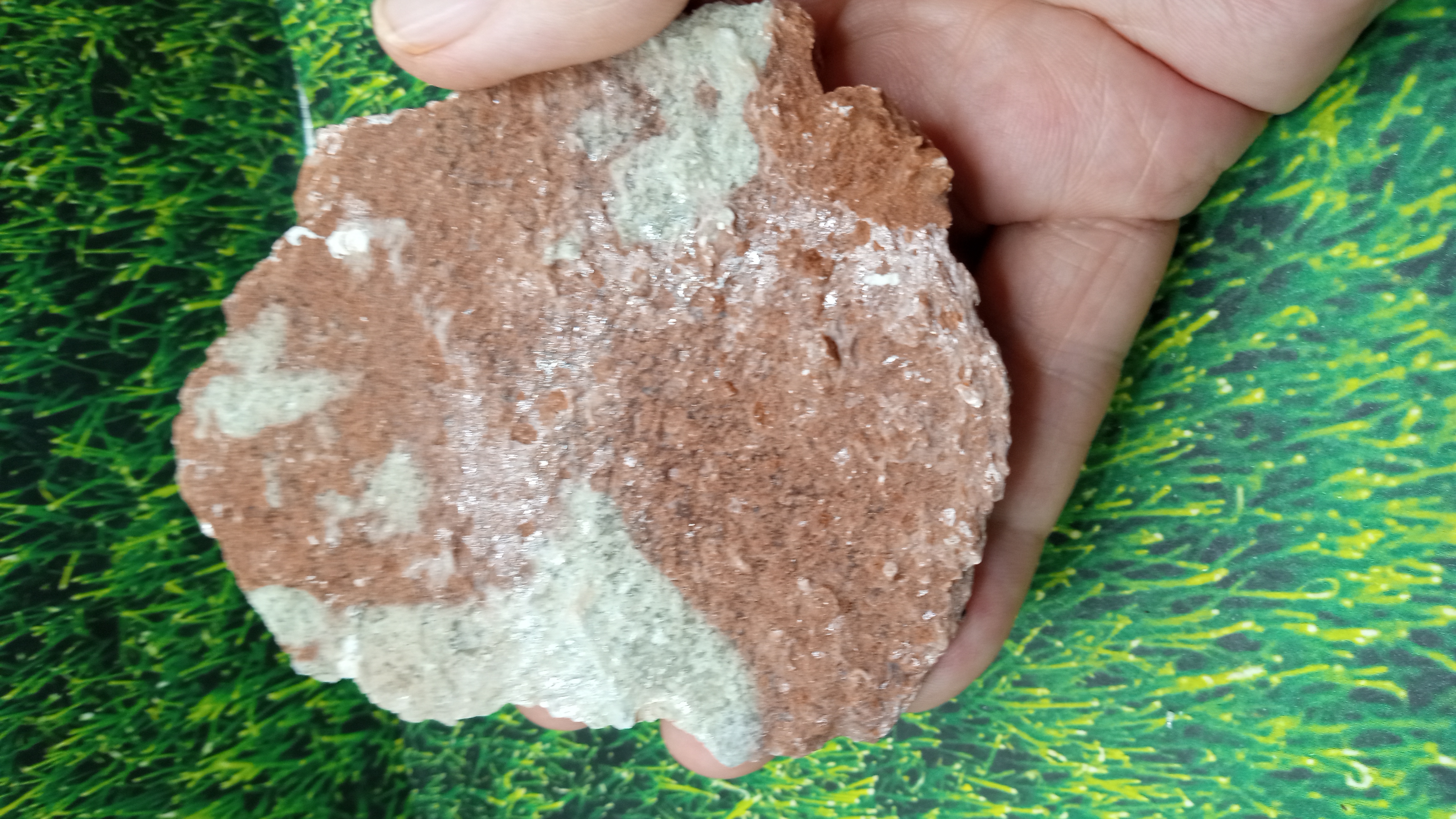 Red Barite Mineral Specimen ~ Arizona ~ 