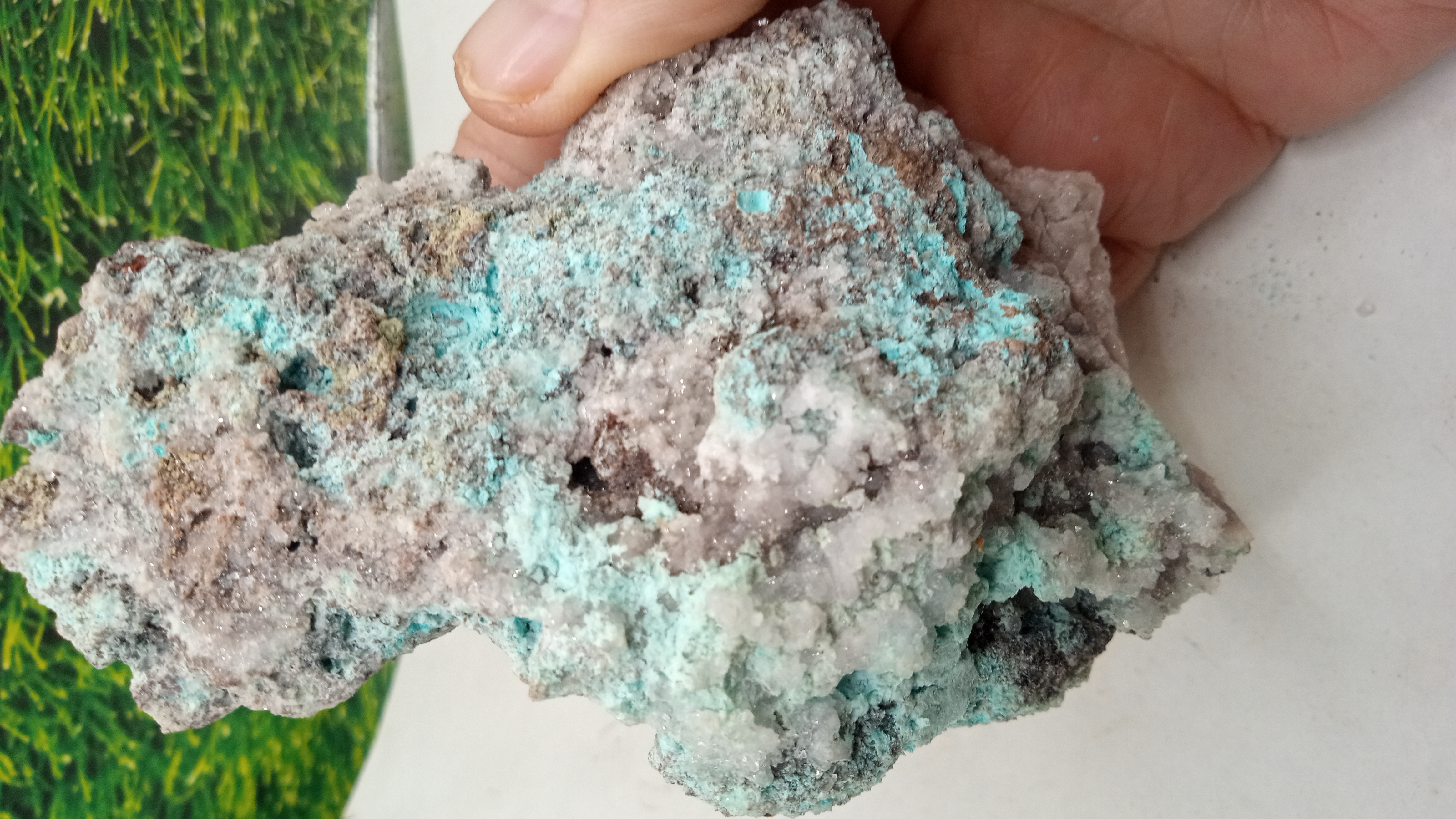 Chrysocolla / Aurichalcite ~ Graphic Mine NN