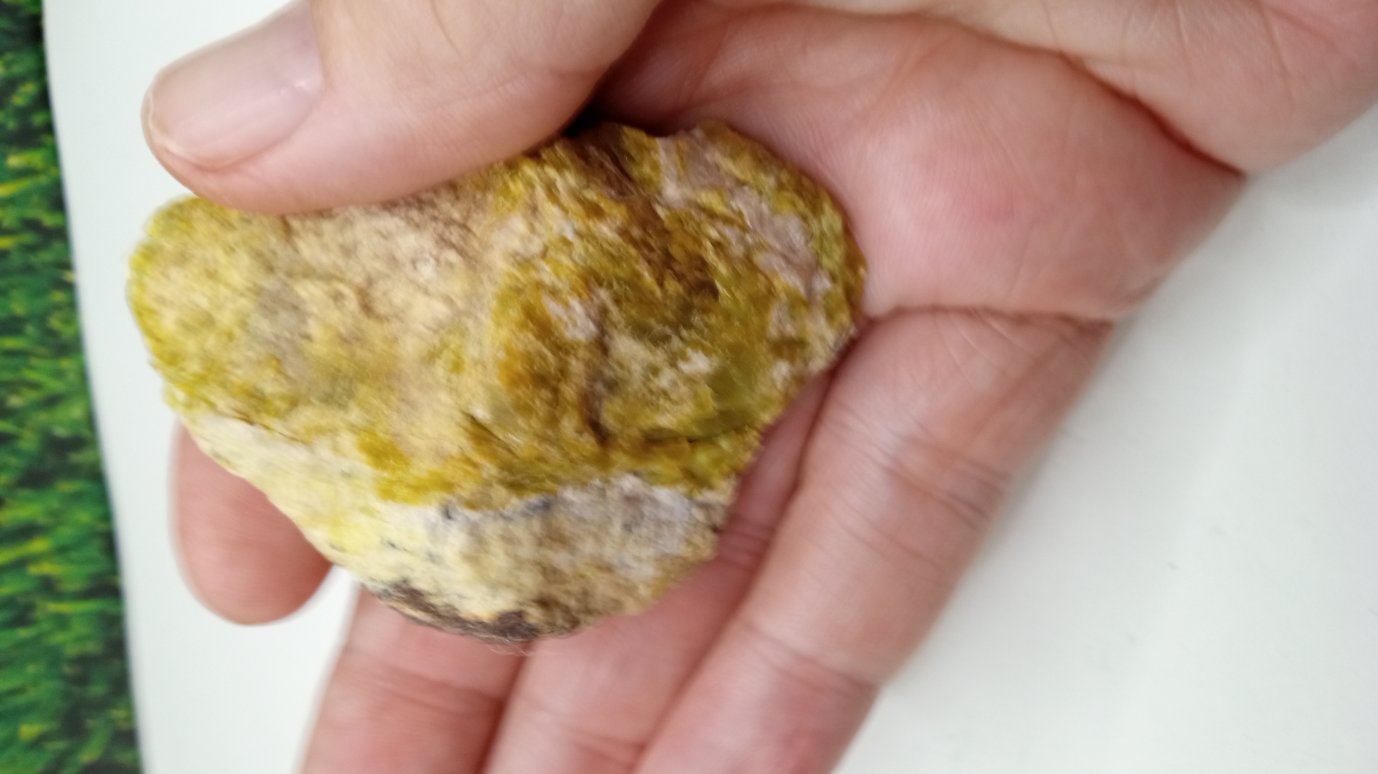 Olivine Jasper Mineral Specimen ~ Arizona ~ ( 2 ) Included ~