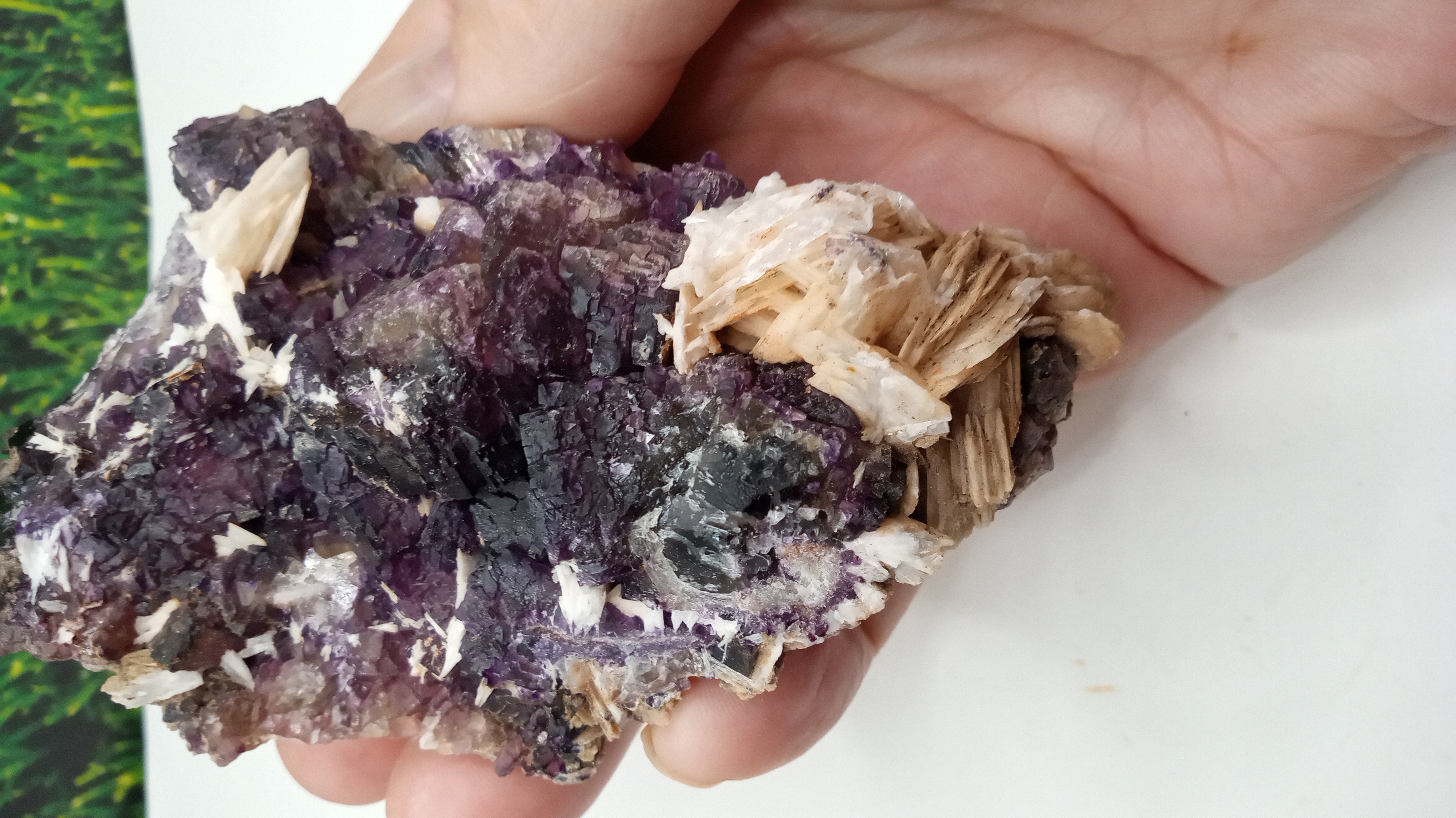 STUNNING BARITE WITH PURPLE FLUORITE MINERAL SPECIMEN ~ New Mexico ~