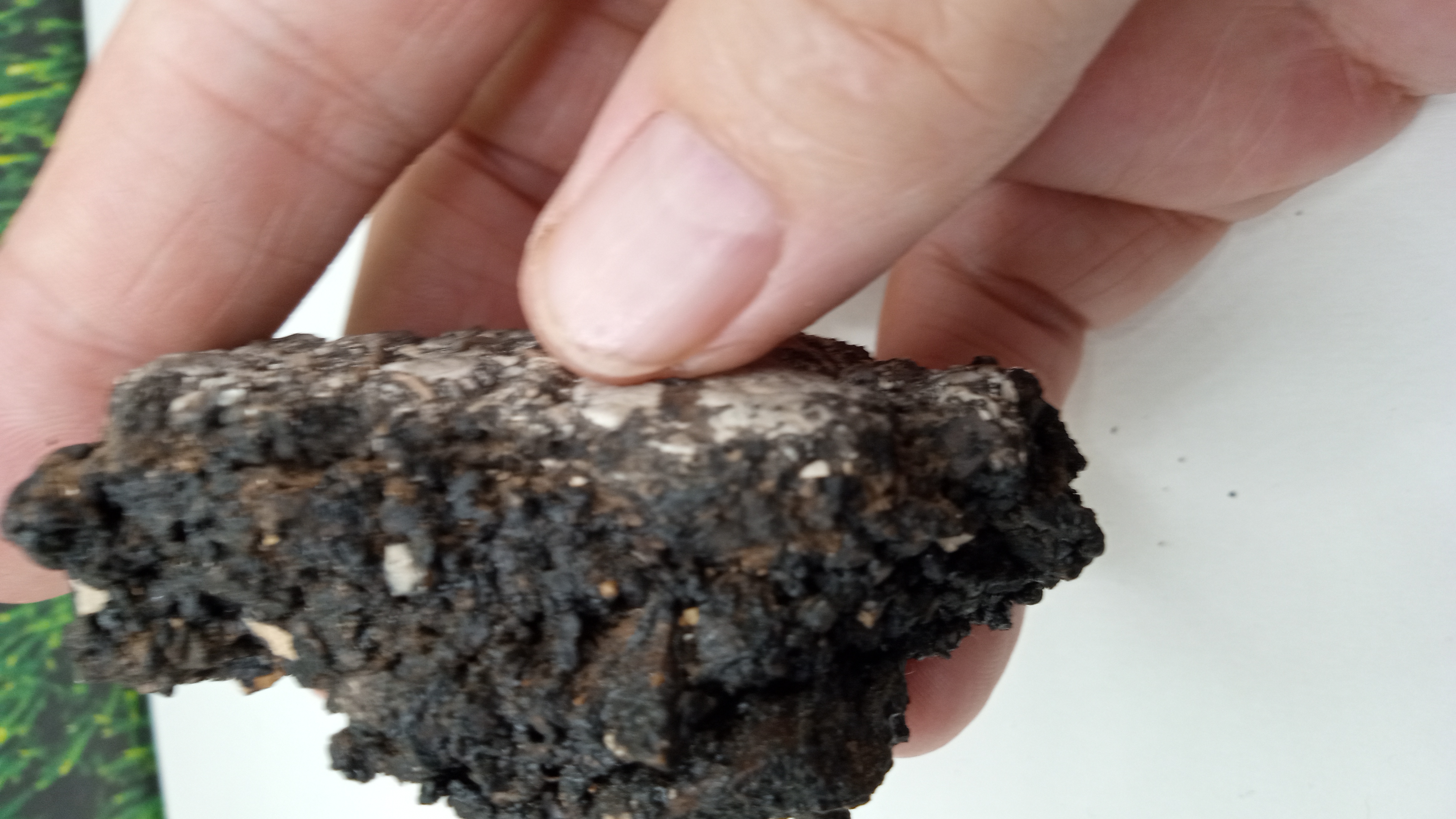 Black Basalt Mineral Specimen ~~