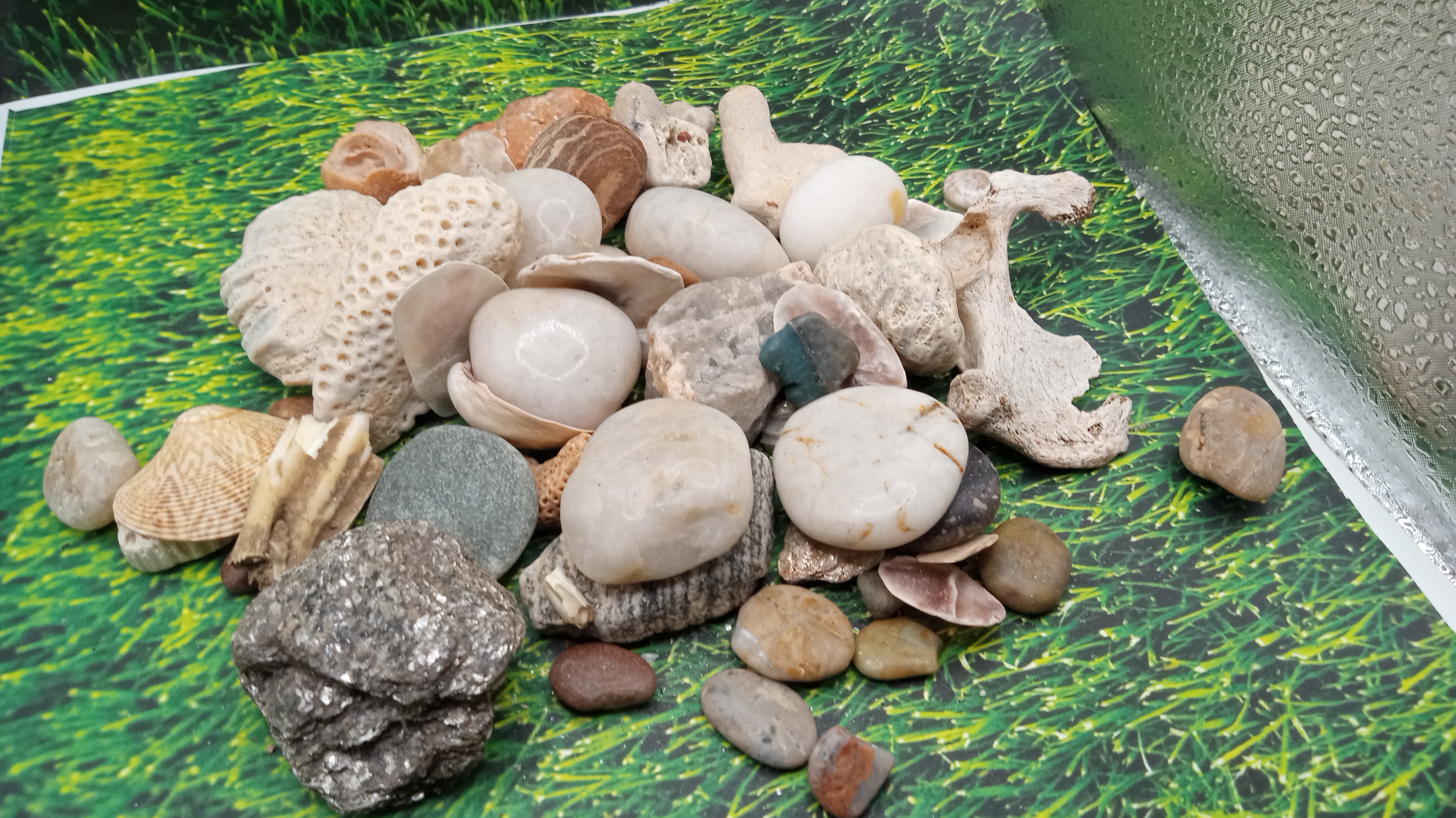 Bag of Misc Rocks - from New Mexico & Florida Keys