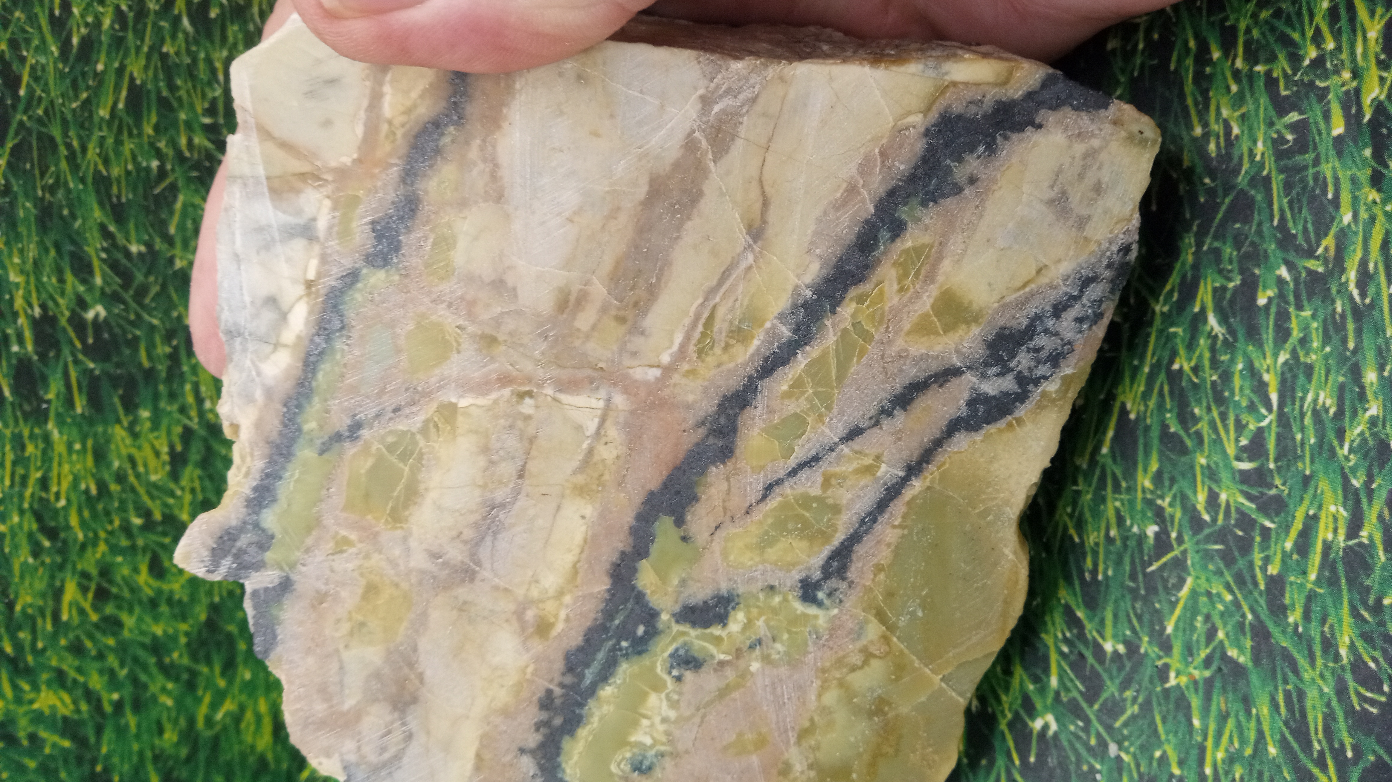 Serpentine with Magnetite ~ Lordsburg NM   1 LB 10 oz Large ~