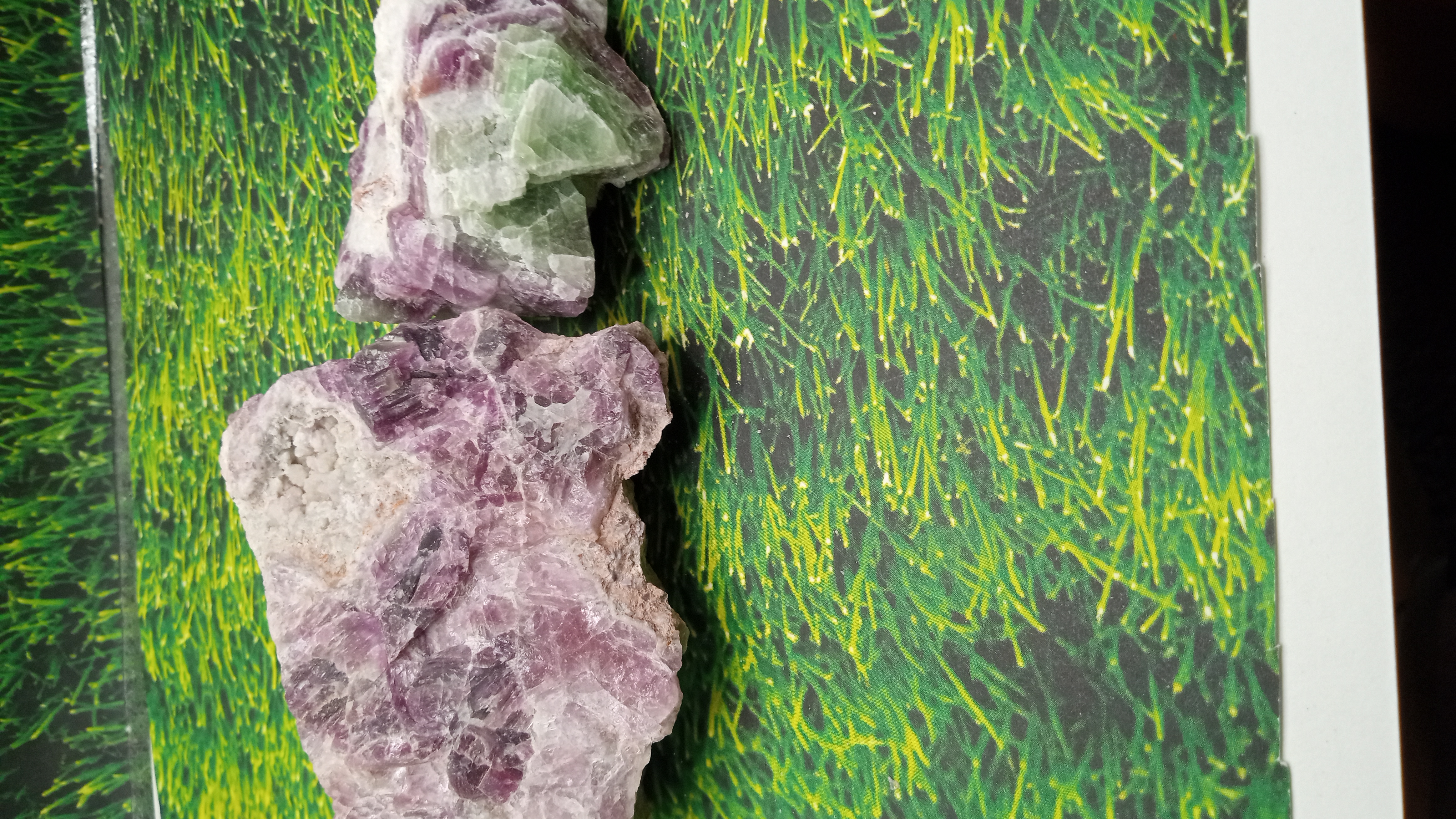 Purple & Green Fluorite ~ Wild West Tombstone AZ ~