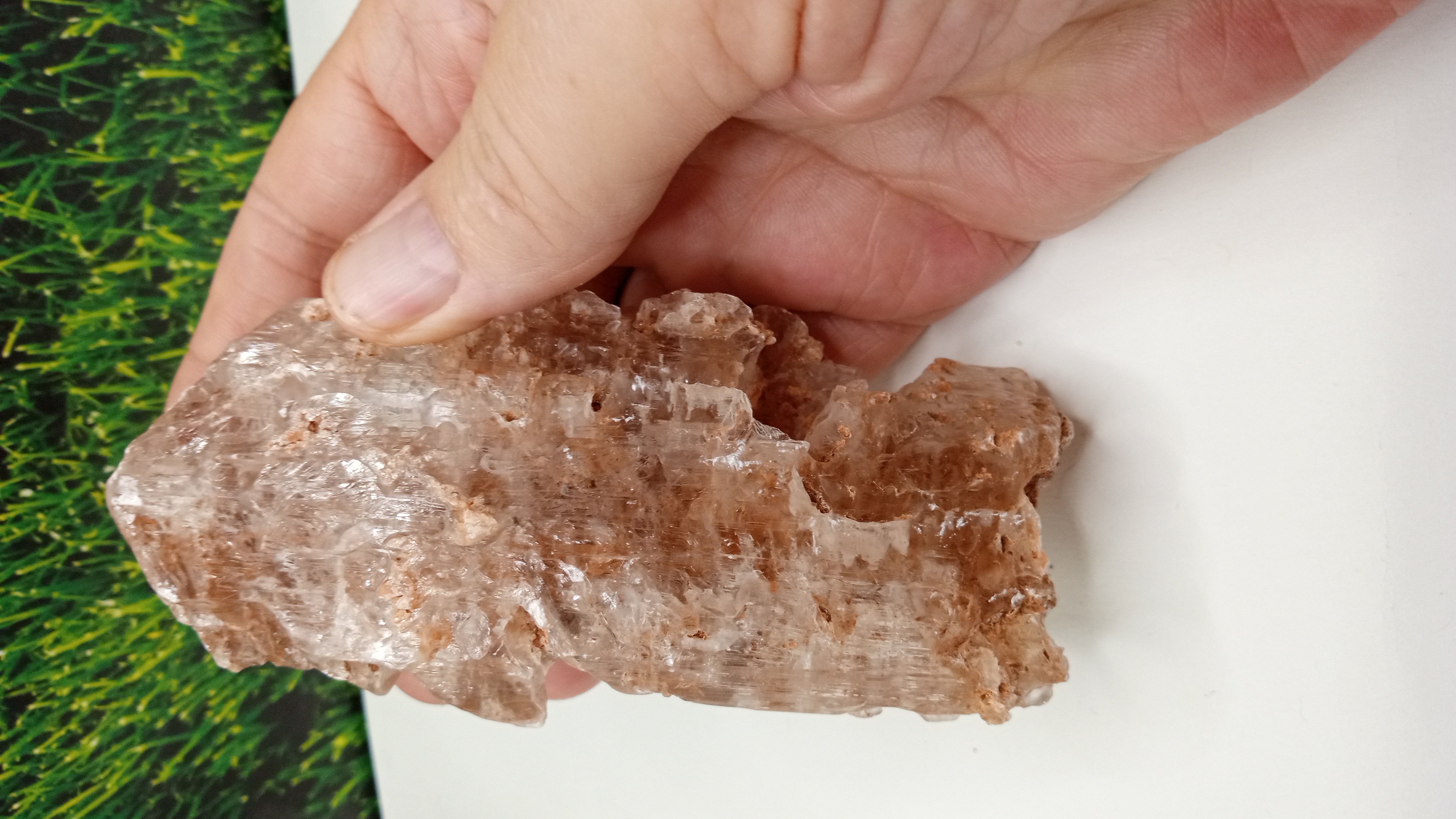 Selenite Mineral Specimen - UFO Roswell, New Mexico Area ~