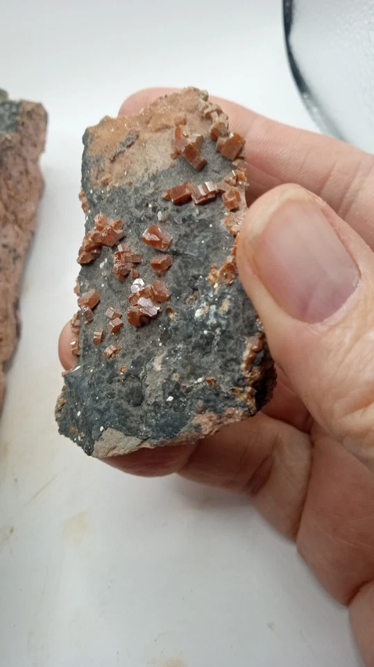 Wulfenite w/ Tiny Quartz Crystals - Rare