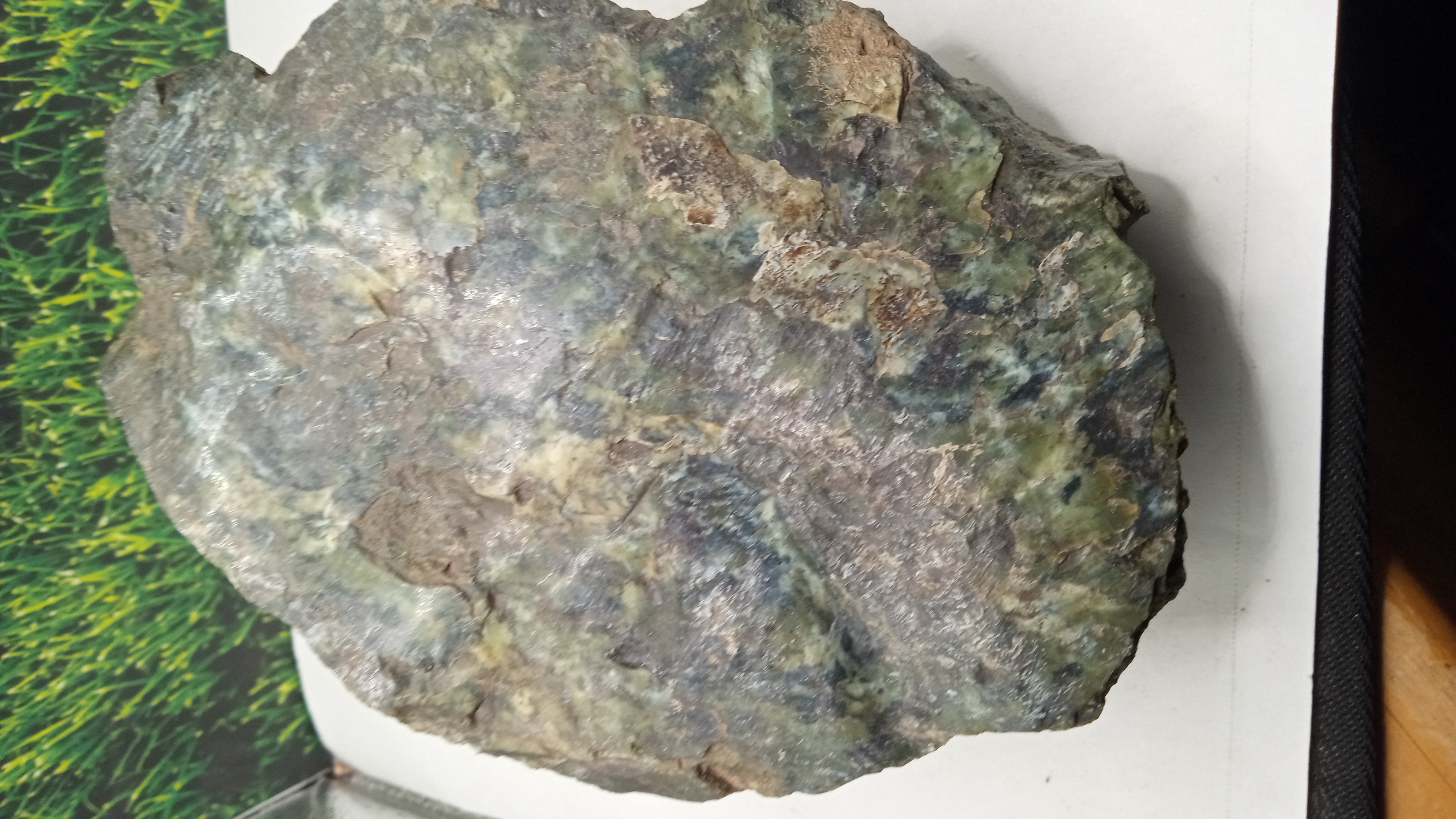 Serpentinite Mineral Specimen - Klamath Mountains, California