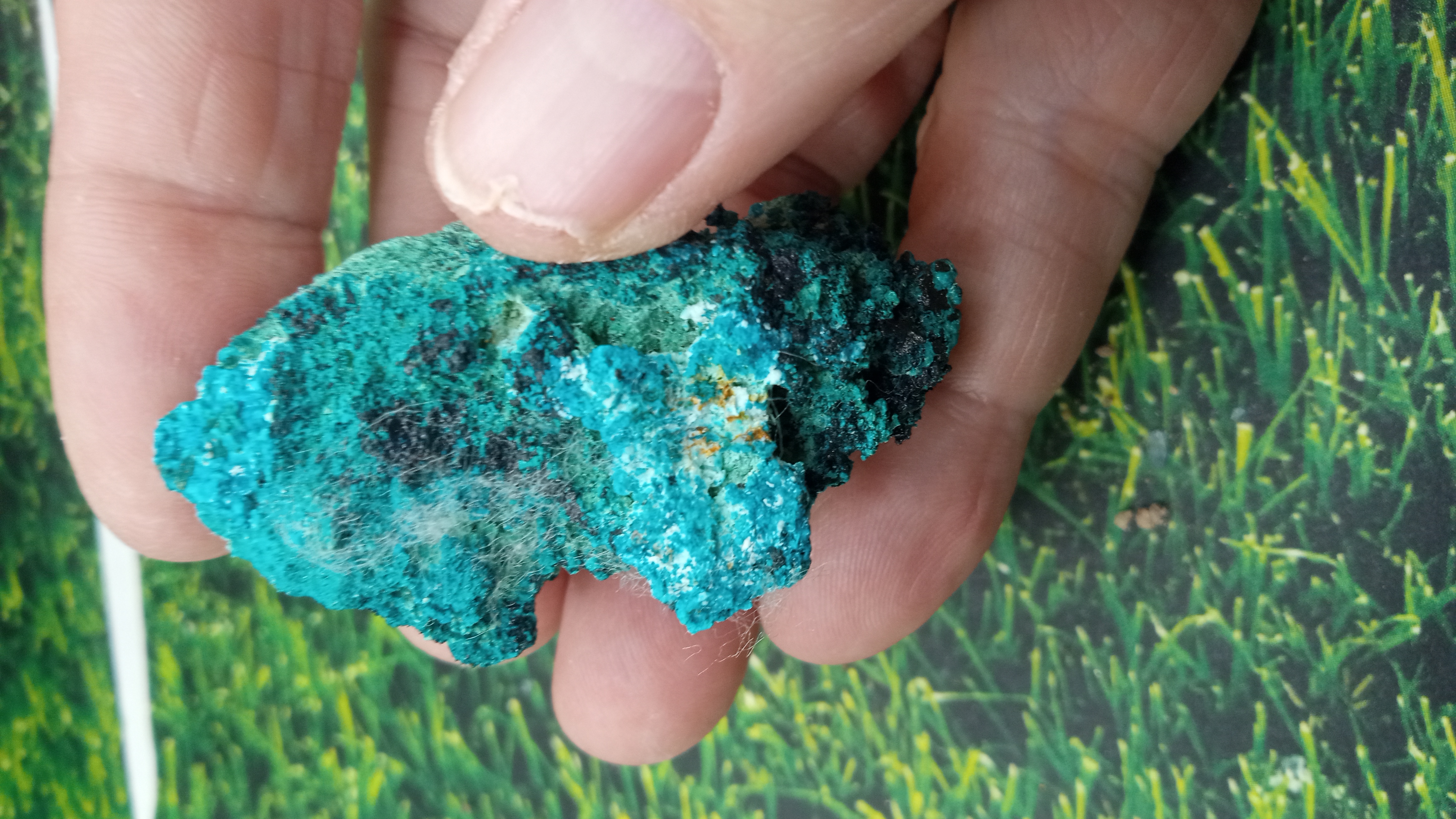 Chrysocolla Mineral Specimen - Orogrande, NM