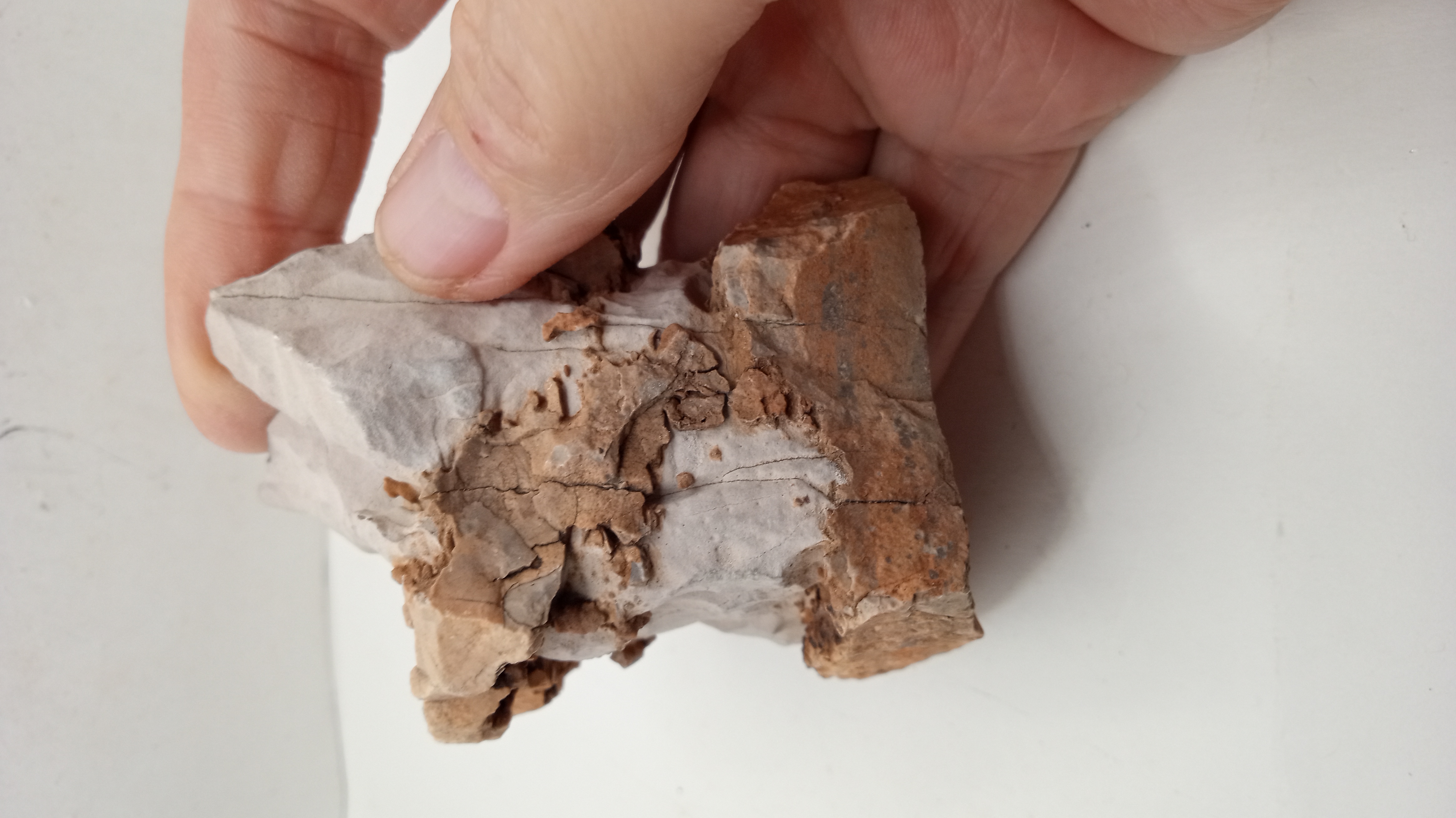 Chert/Siliceous layers in limestone w/ differential erosion