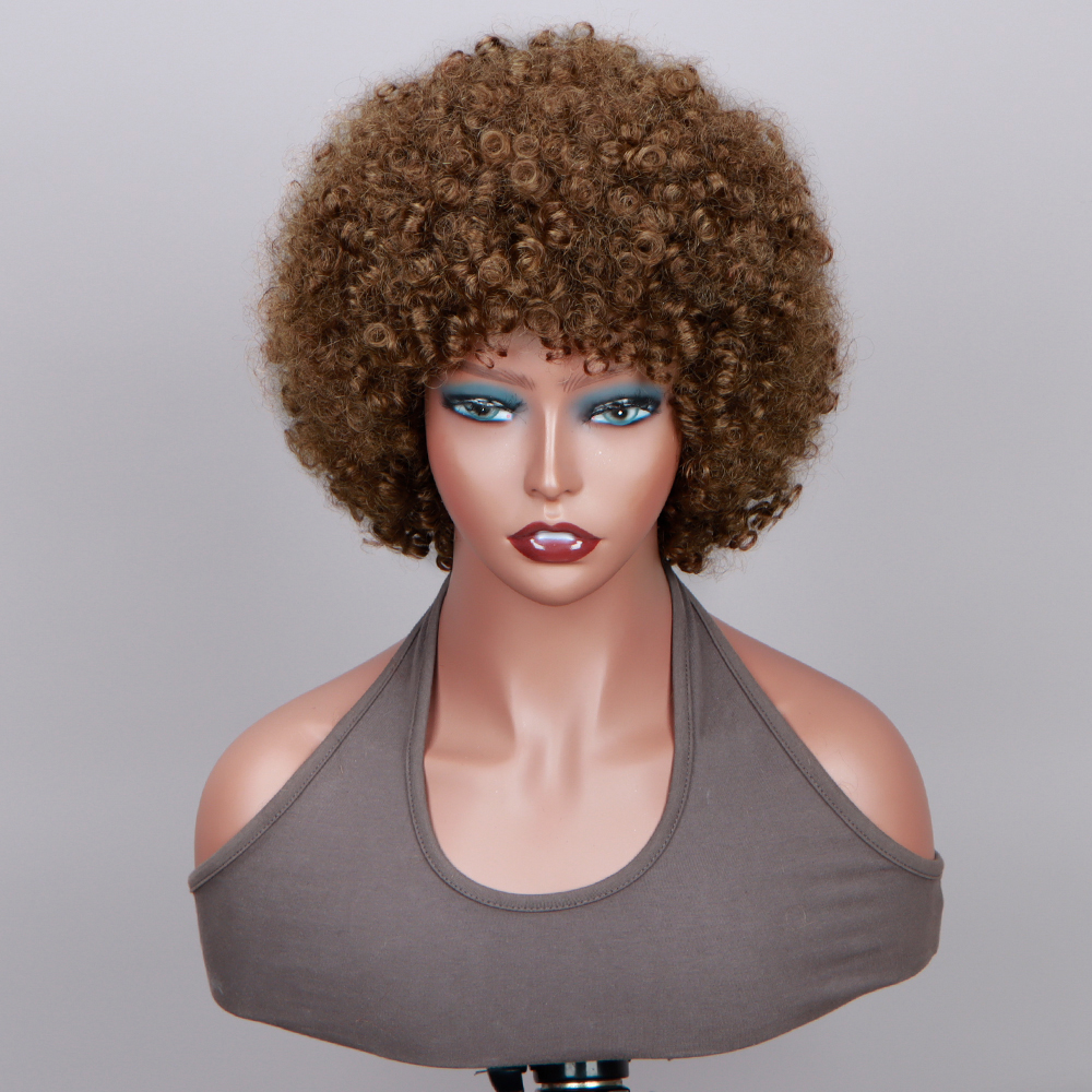 Curly Brown Wig 200%