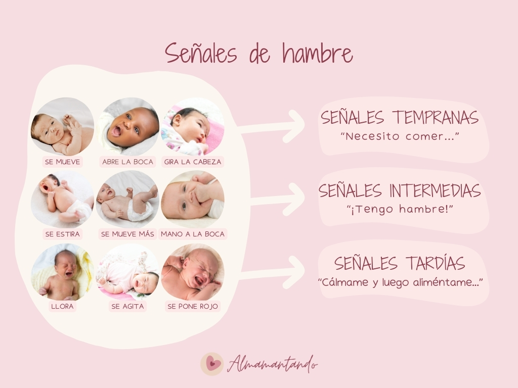 Señales de Hambre
