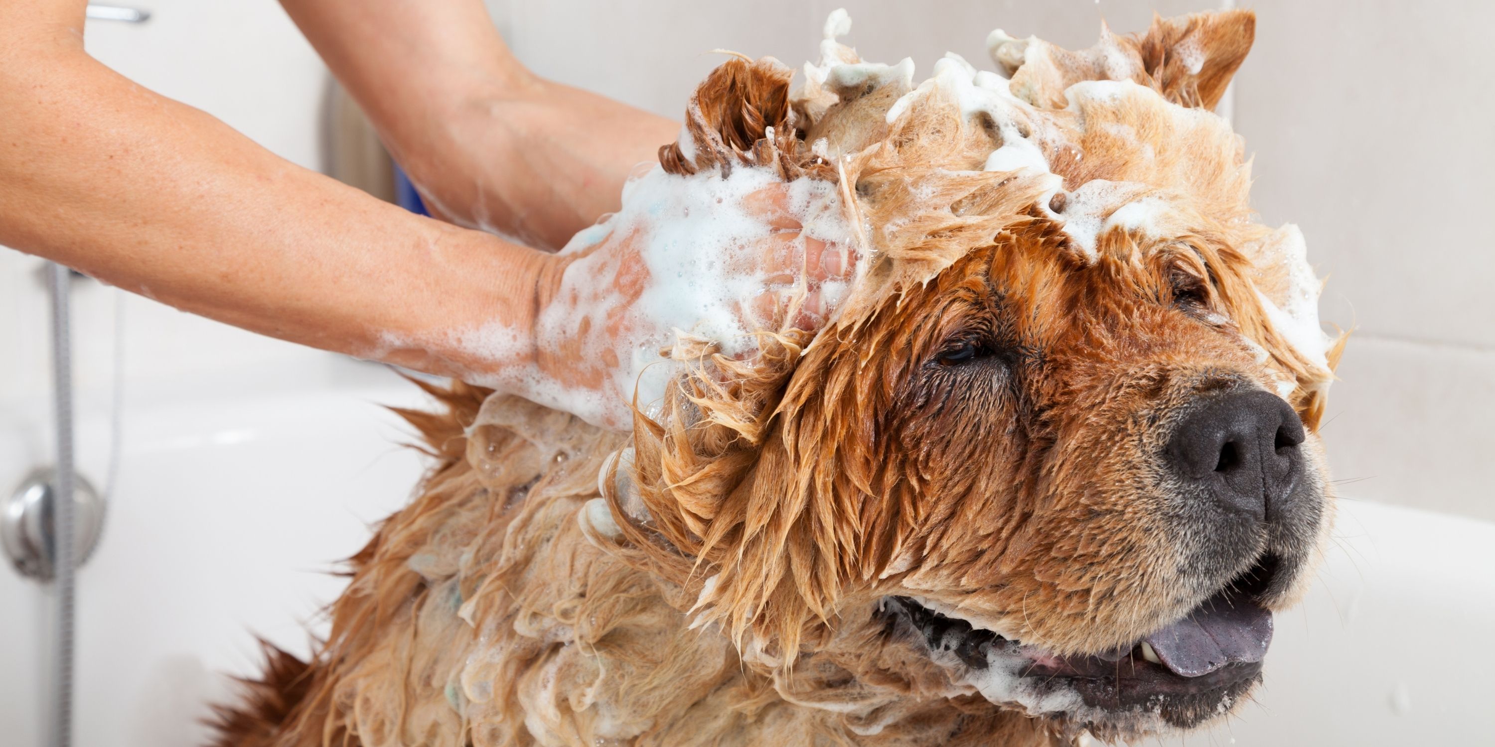 Bath & Fluff Dry Only-Flea/Skunk Treatment