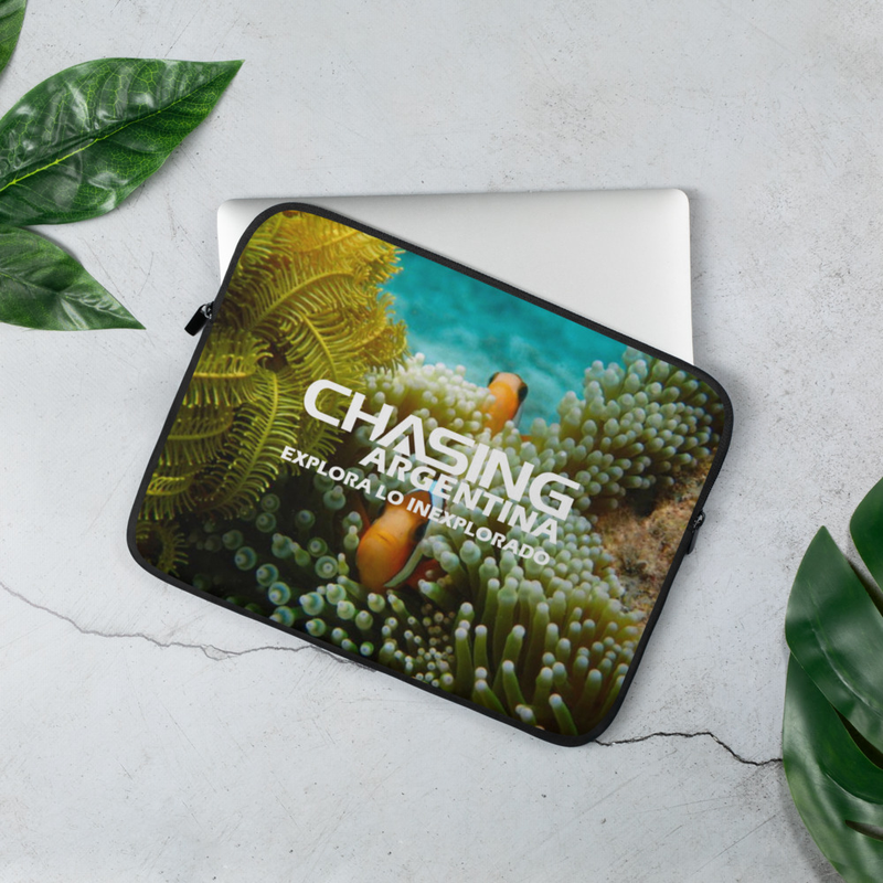 Funda para notebook Modelo 17