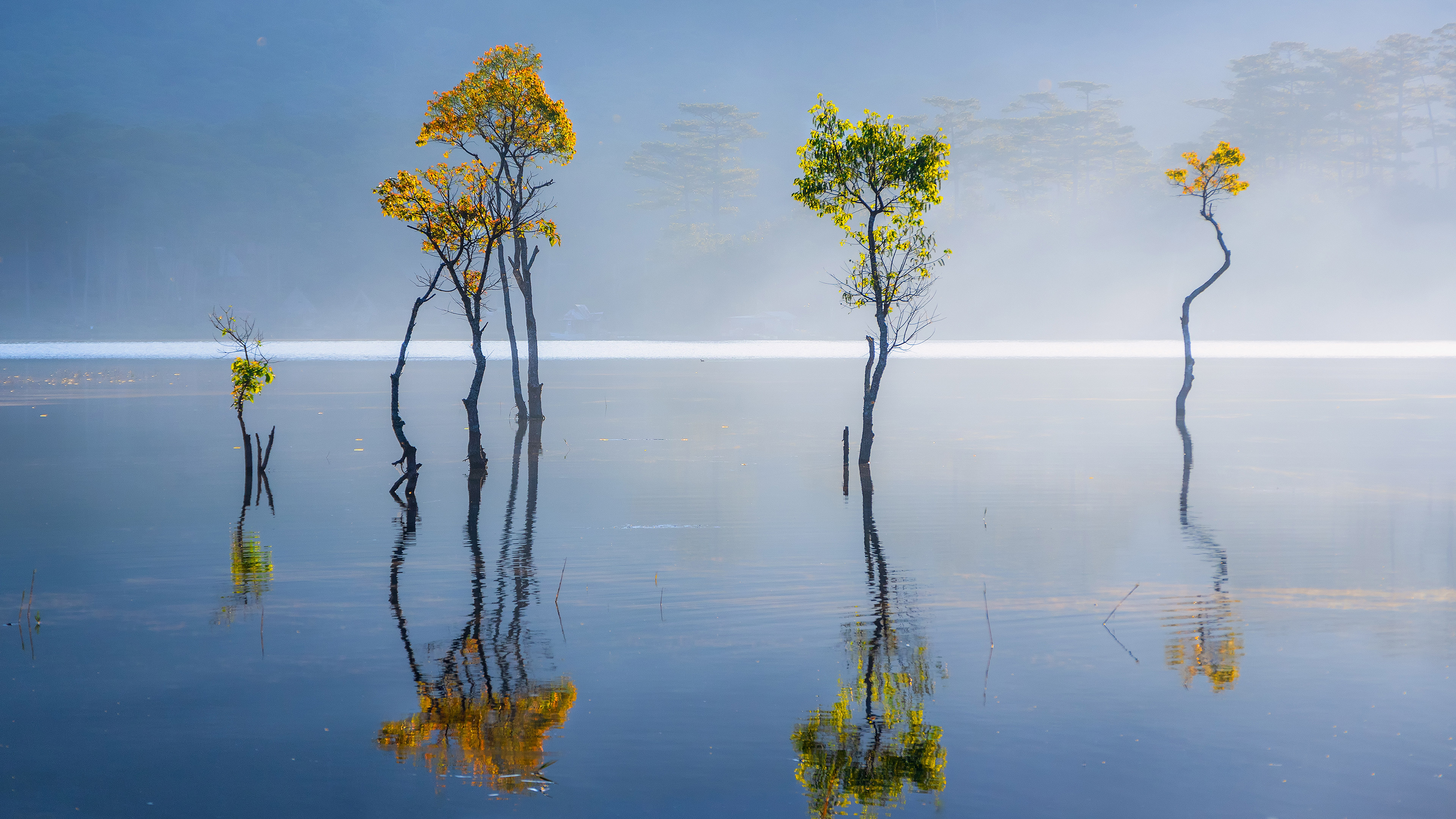 Hypnotic Journey:  Tinnitus, Ringing in the Ear