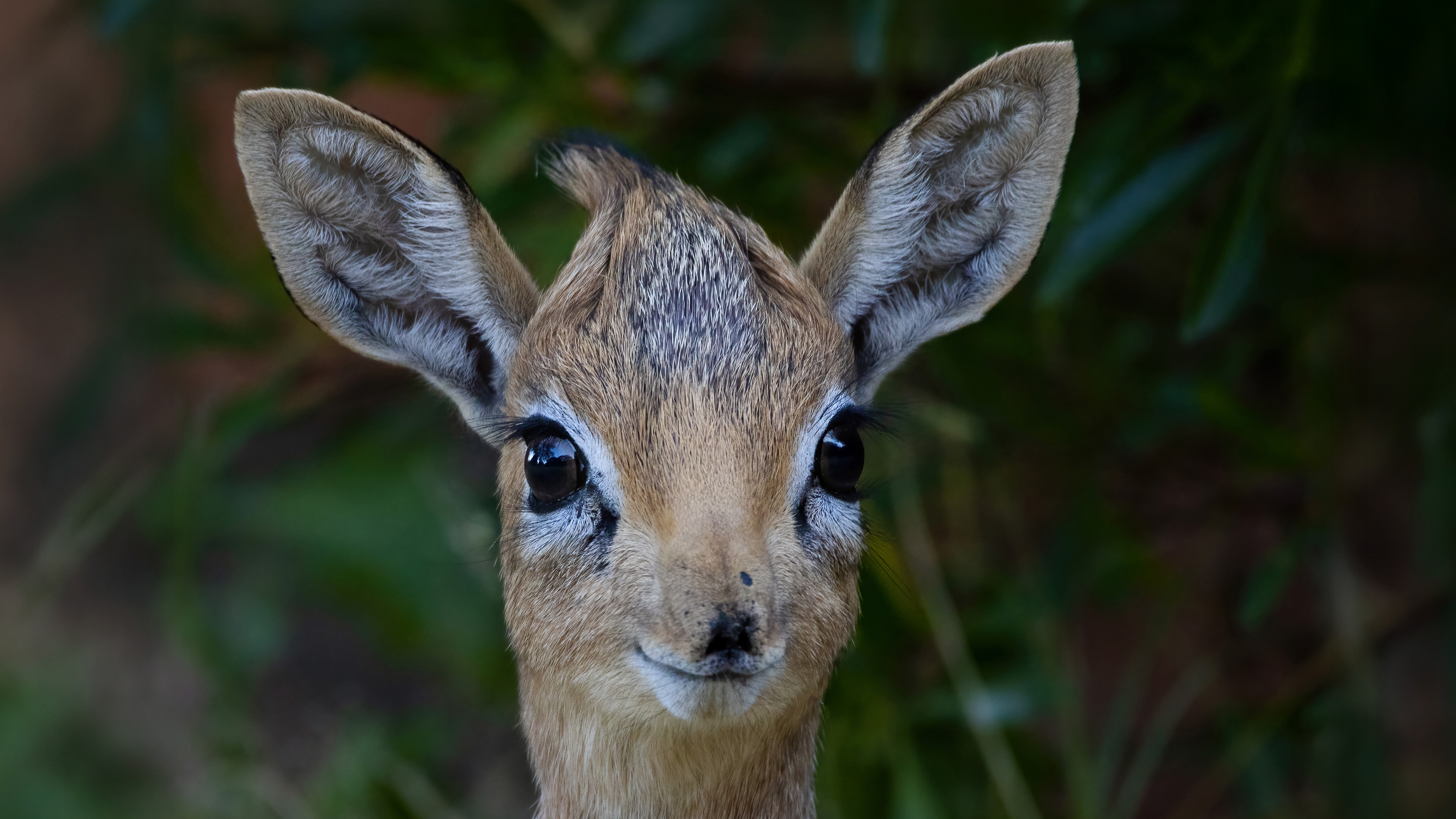 Hypnotic Journey:  Caring for a Loved One
