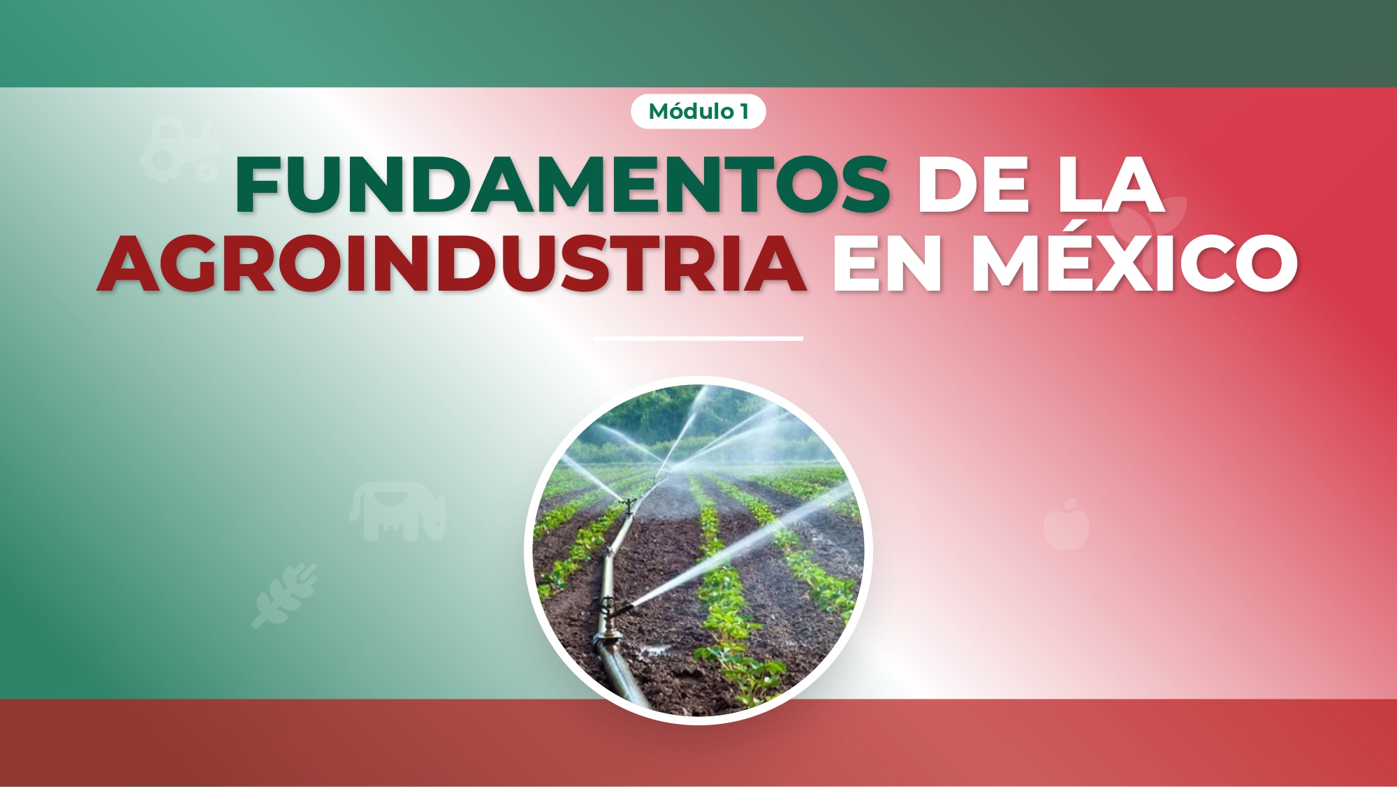 Fundamentos de la Agroindustria en México