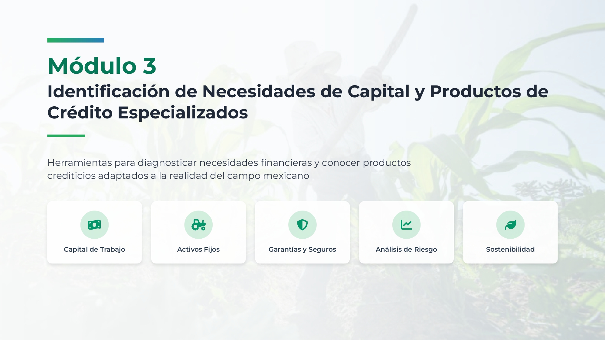 Identificación de Necesidades de Capital y Productos de Crédito Especializados