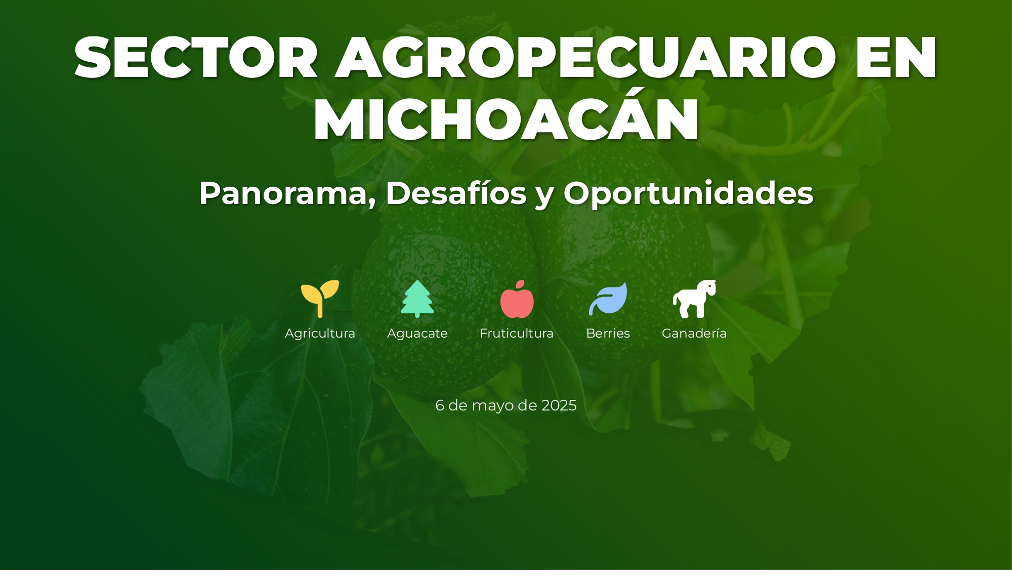 Sector Agropecuario en Michoacán