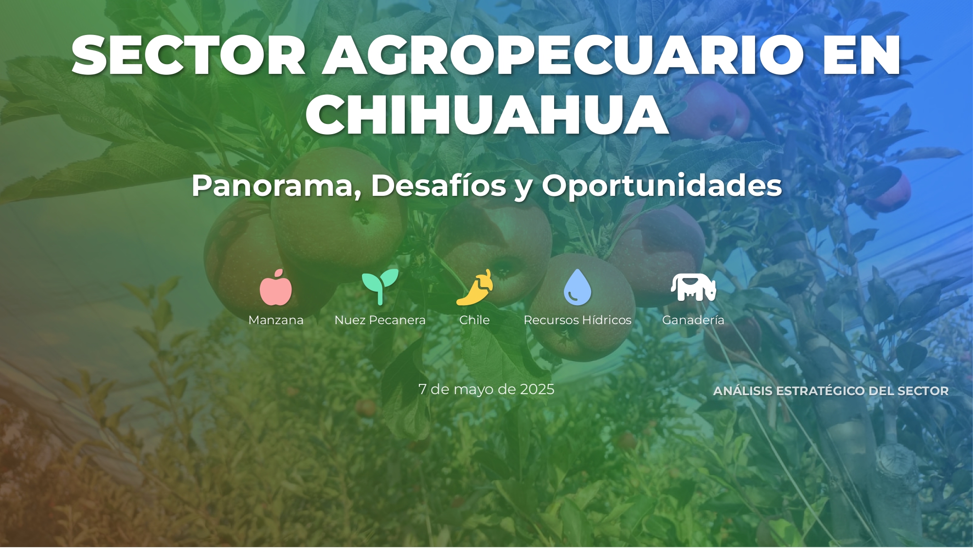 Sector Agropecuario en Chihuahua