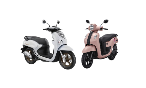 BIKE RENTAL S