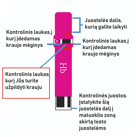 Hemoglobino tyrimo juostelės EasyTouch®, N25