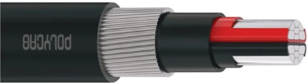 16 SQ.MM 2-Core Aluminium Armoured Cable – Polycab