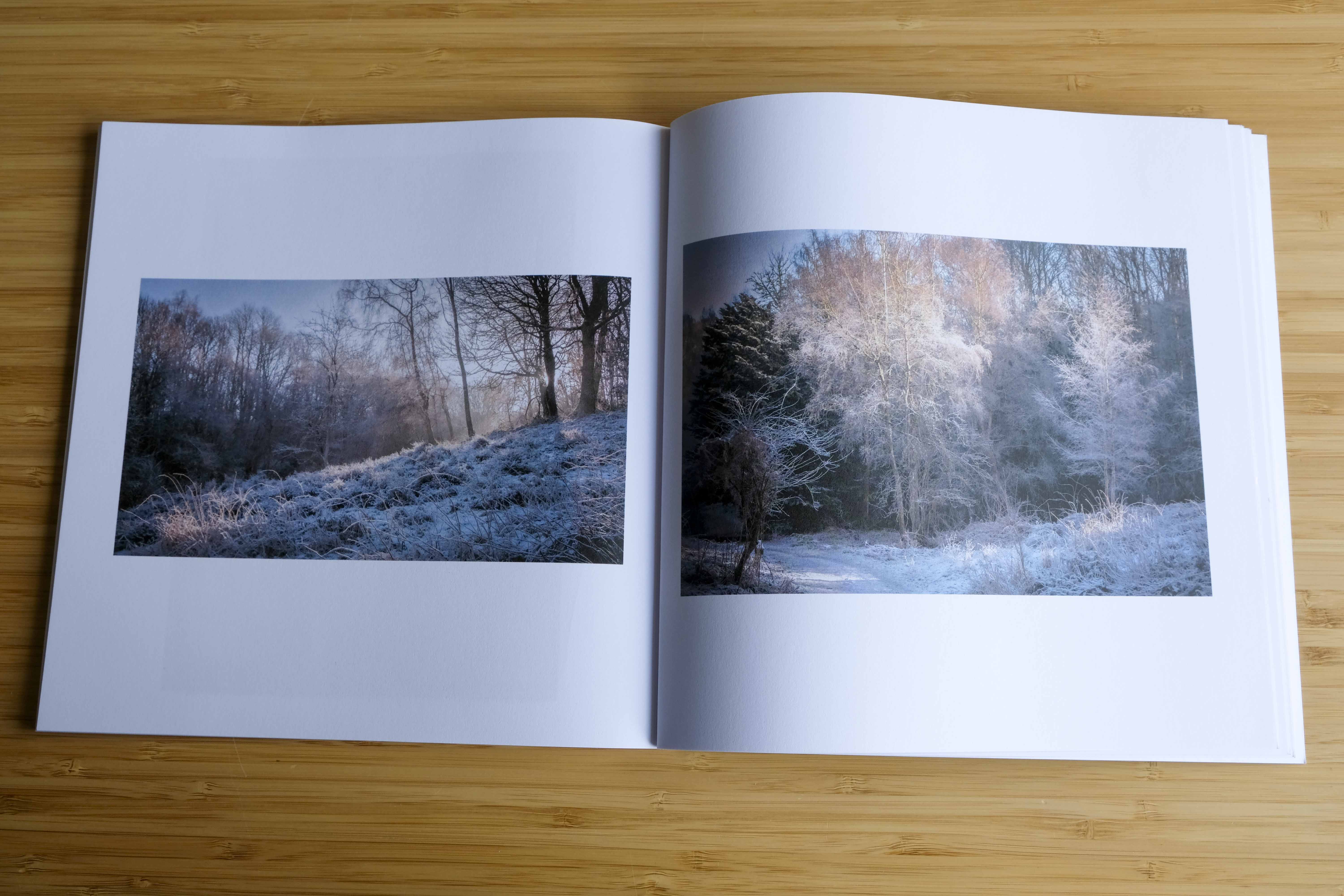 Shifting Light, Shifting Seasons: Bestwood Through a Local Lens (Standard Edition)