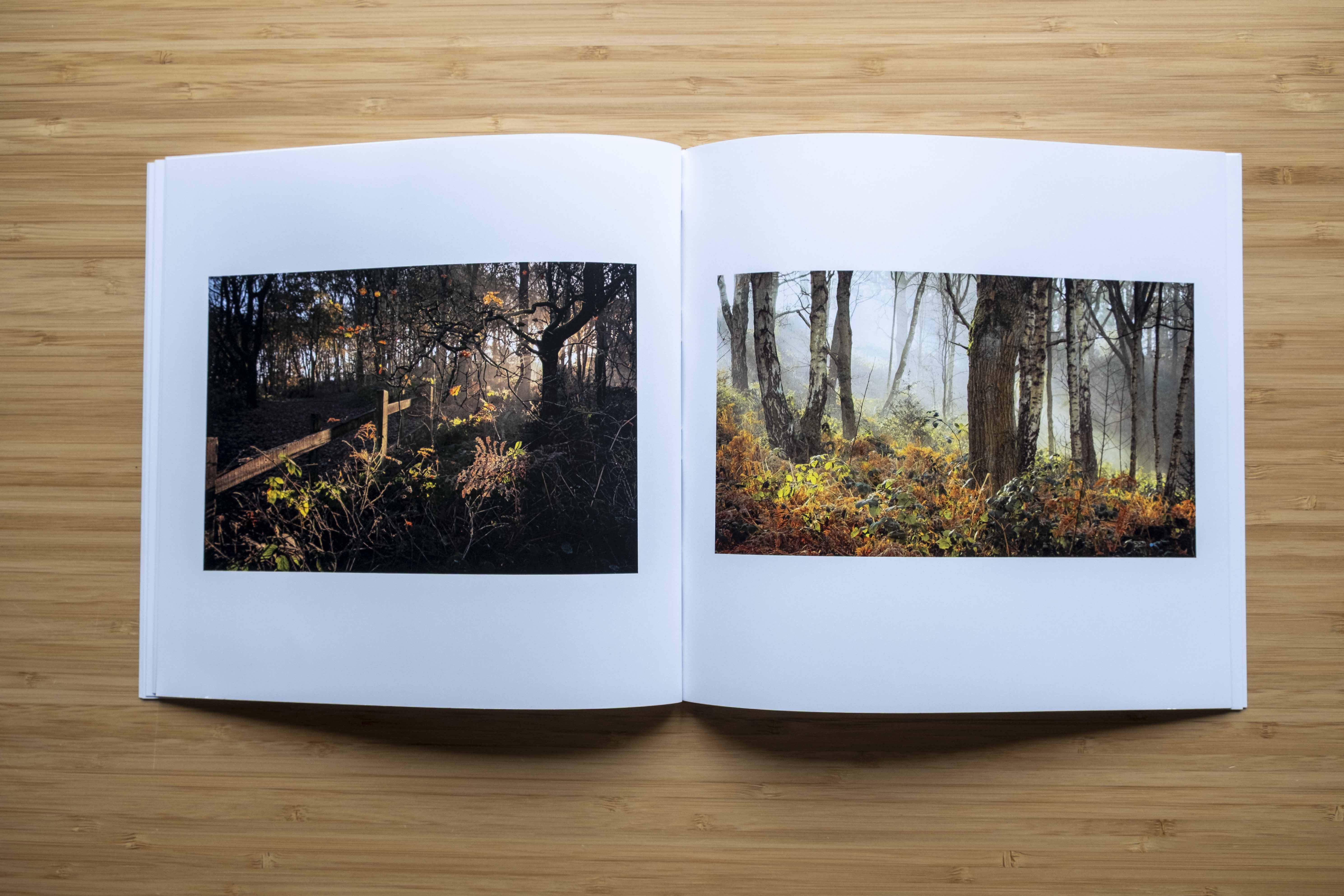 Shifting Light, Shifting Seasons: Bestwood Through a Local Lens (Premium Edition)