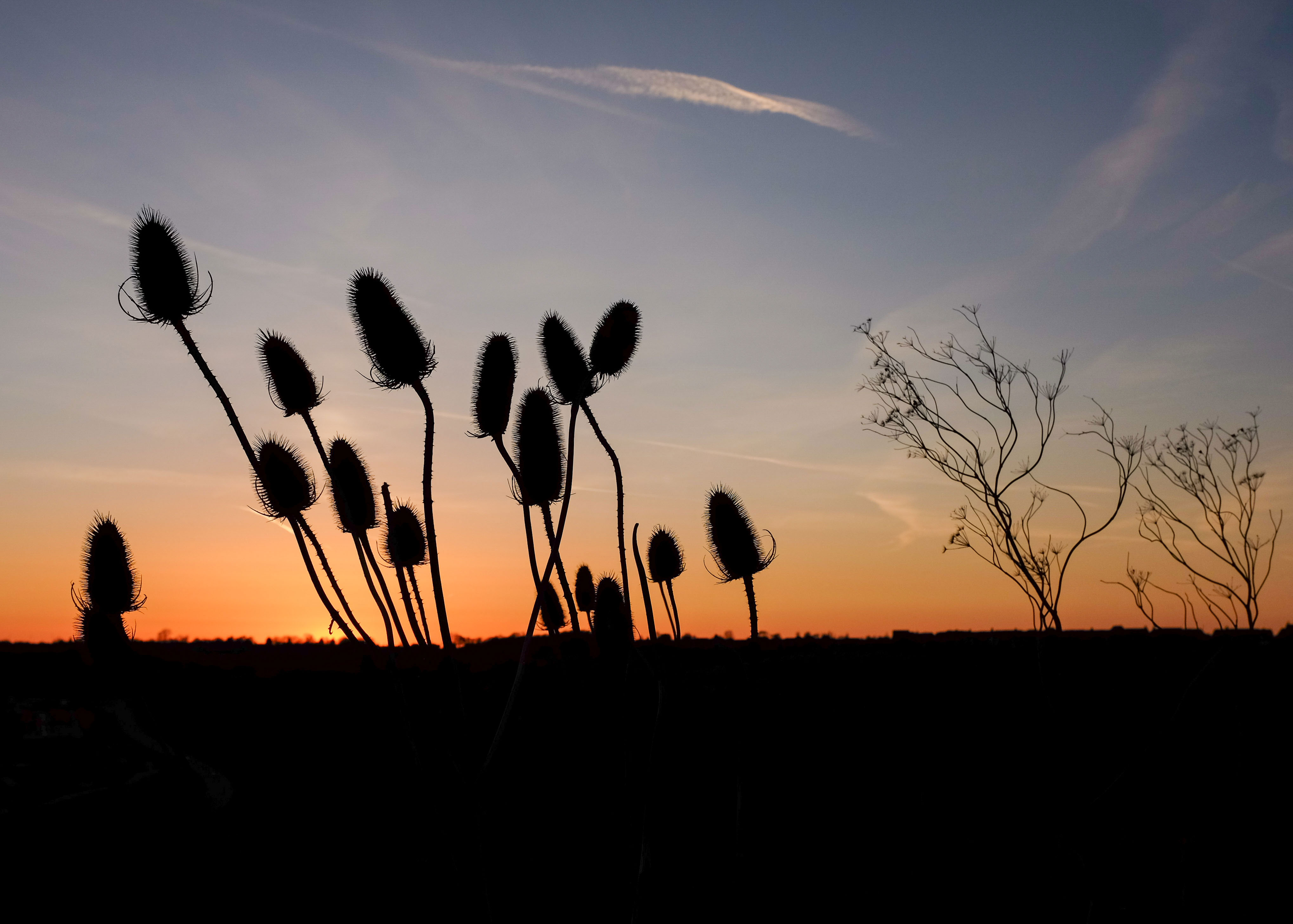 Sunset Gedling Country Park