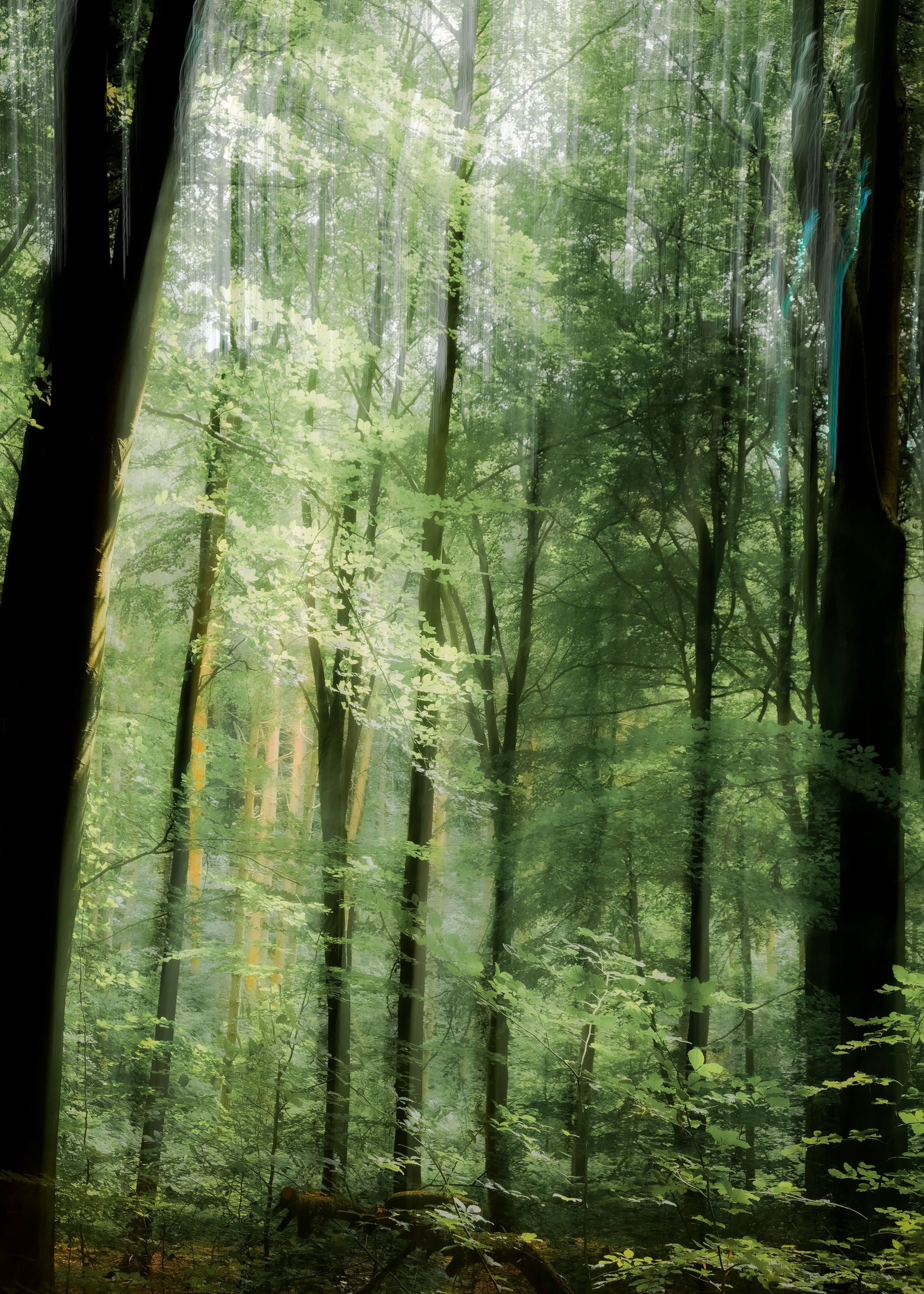 Abstract Annesley Greens
